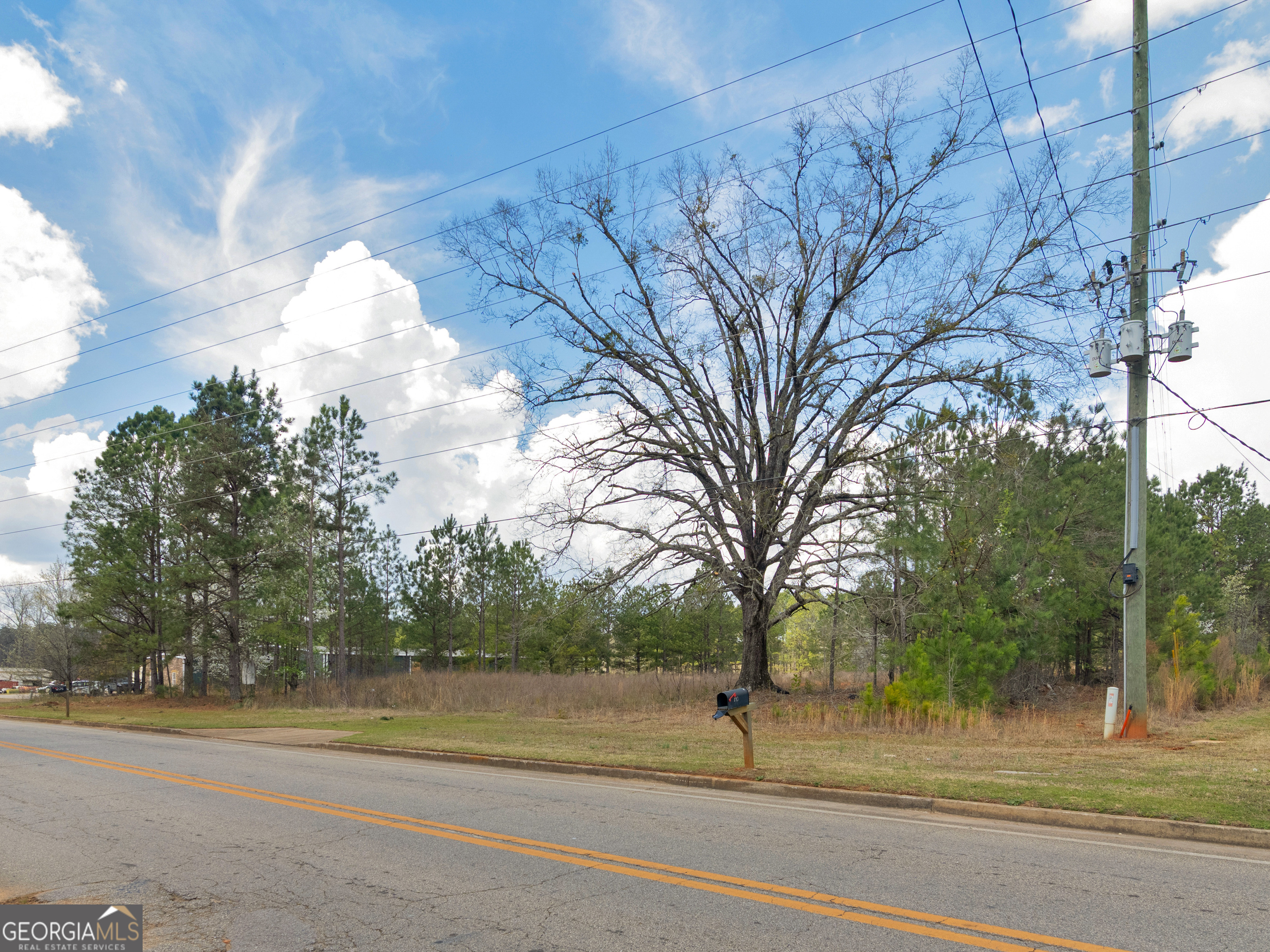 0 County Farm Road Williamson, GA 30292 - Photo 3 of 9 a view of a yard
