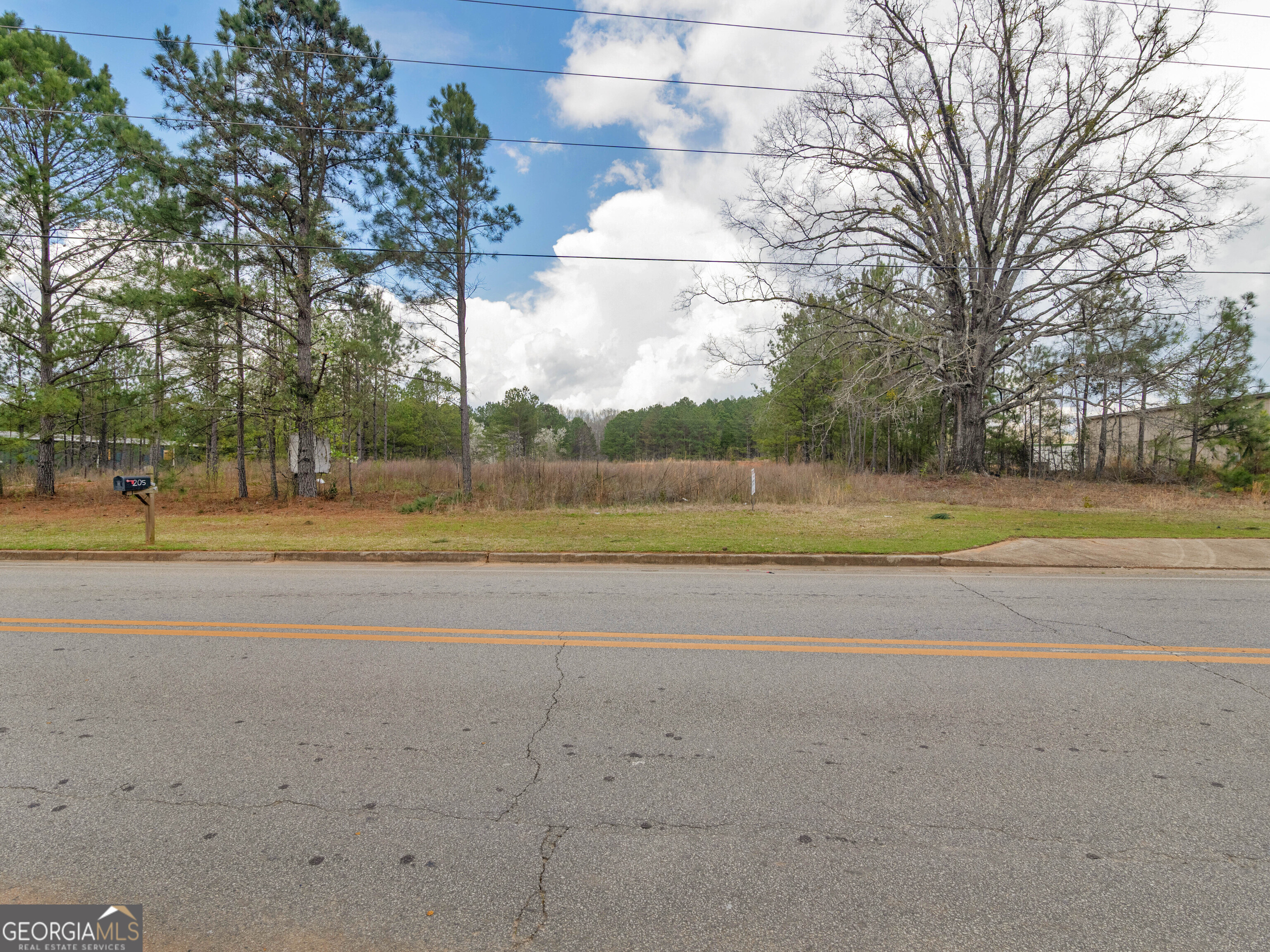 0 County Farm Road Williamson, GA 30292 - Photo 4 of 9 a view of a yard