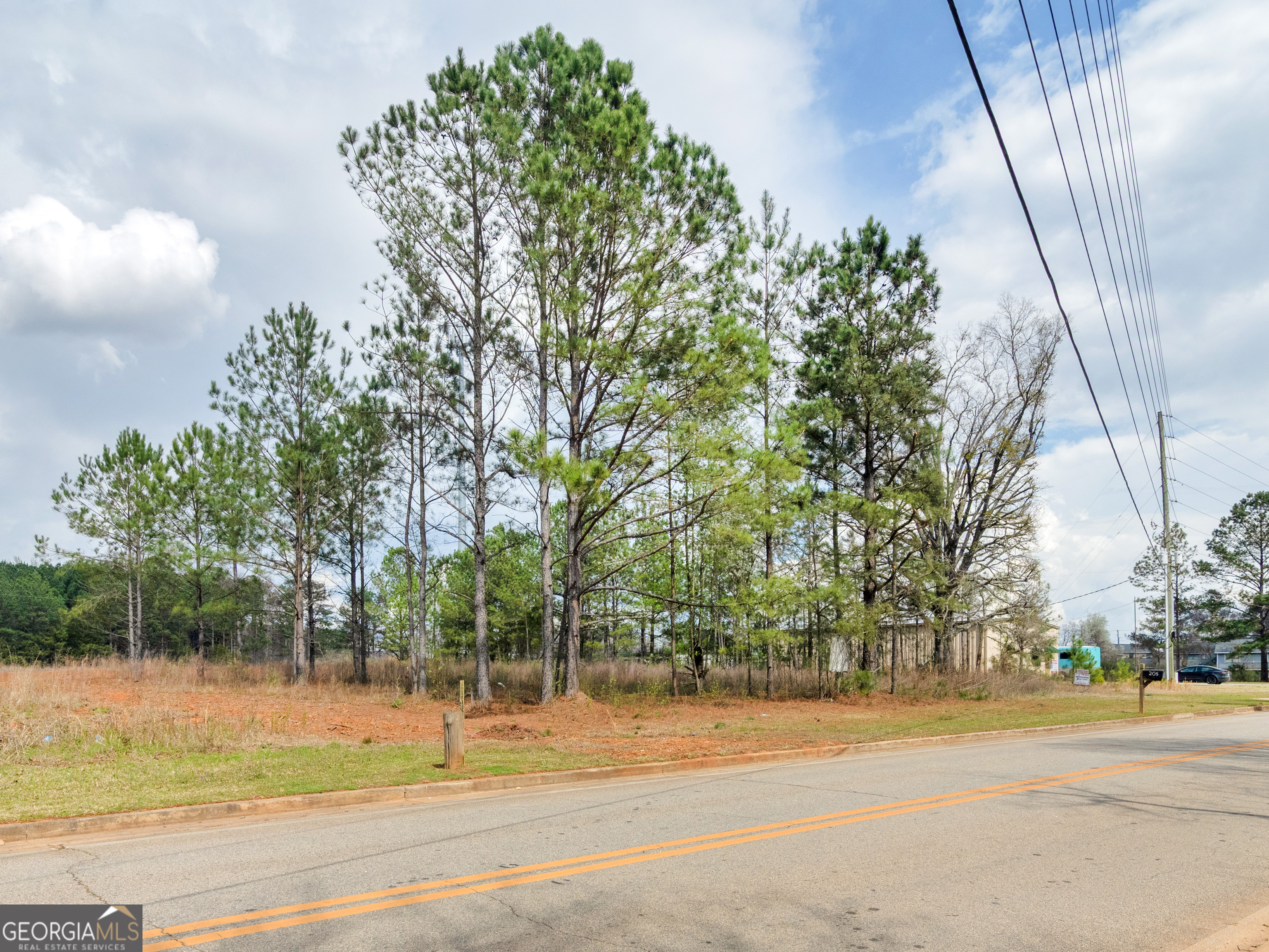 0 County Farm Road Williamson, GA 30292 - Photo 5 of 9 a view of a yard with a trampoline