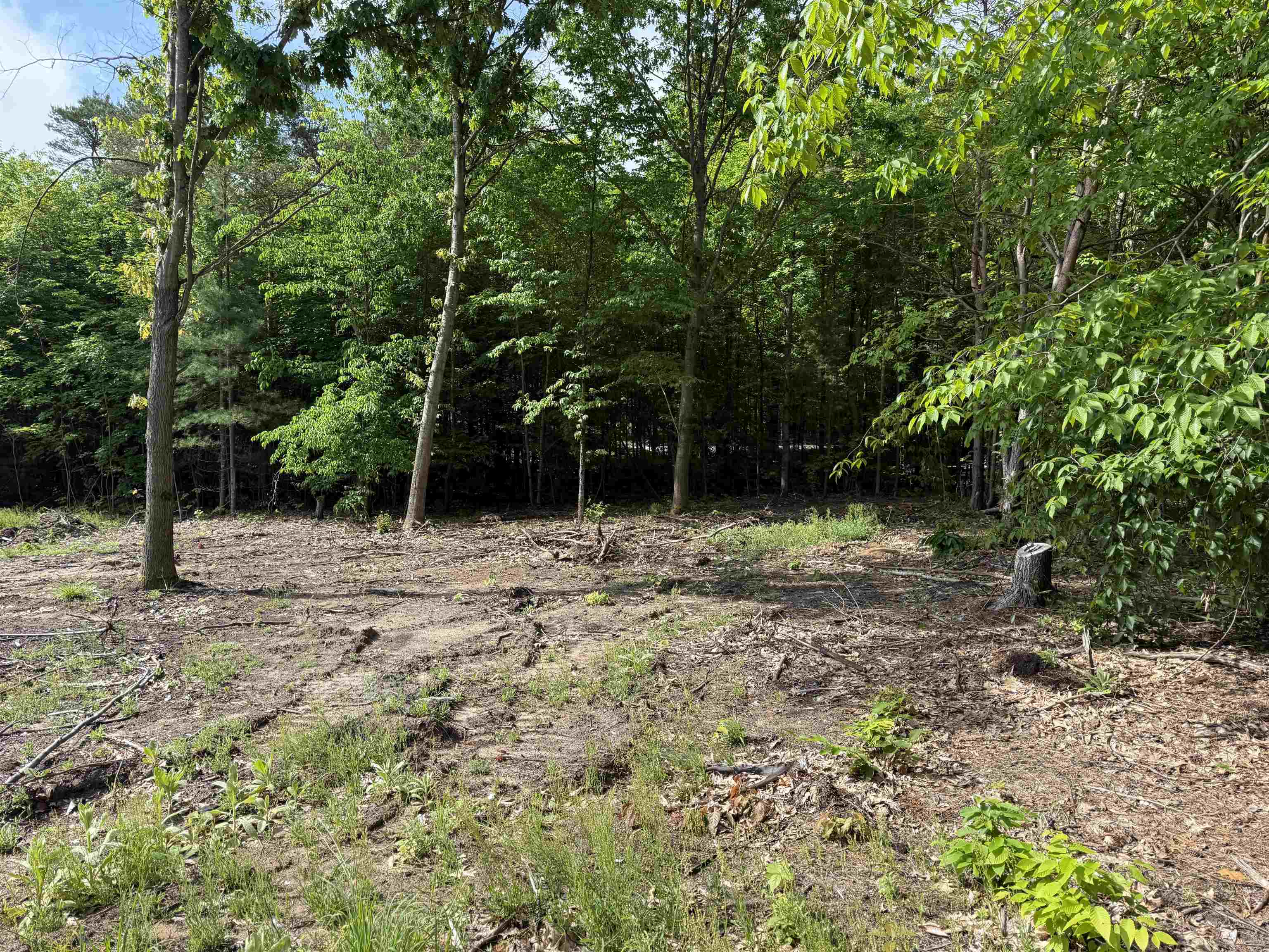 19493 Paradise Ridge Trail Cedar, MI 49684 - Photo 9 of 19