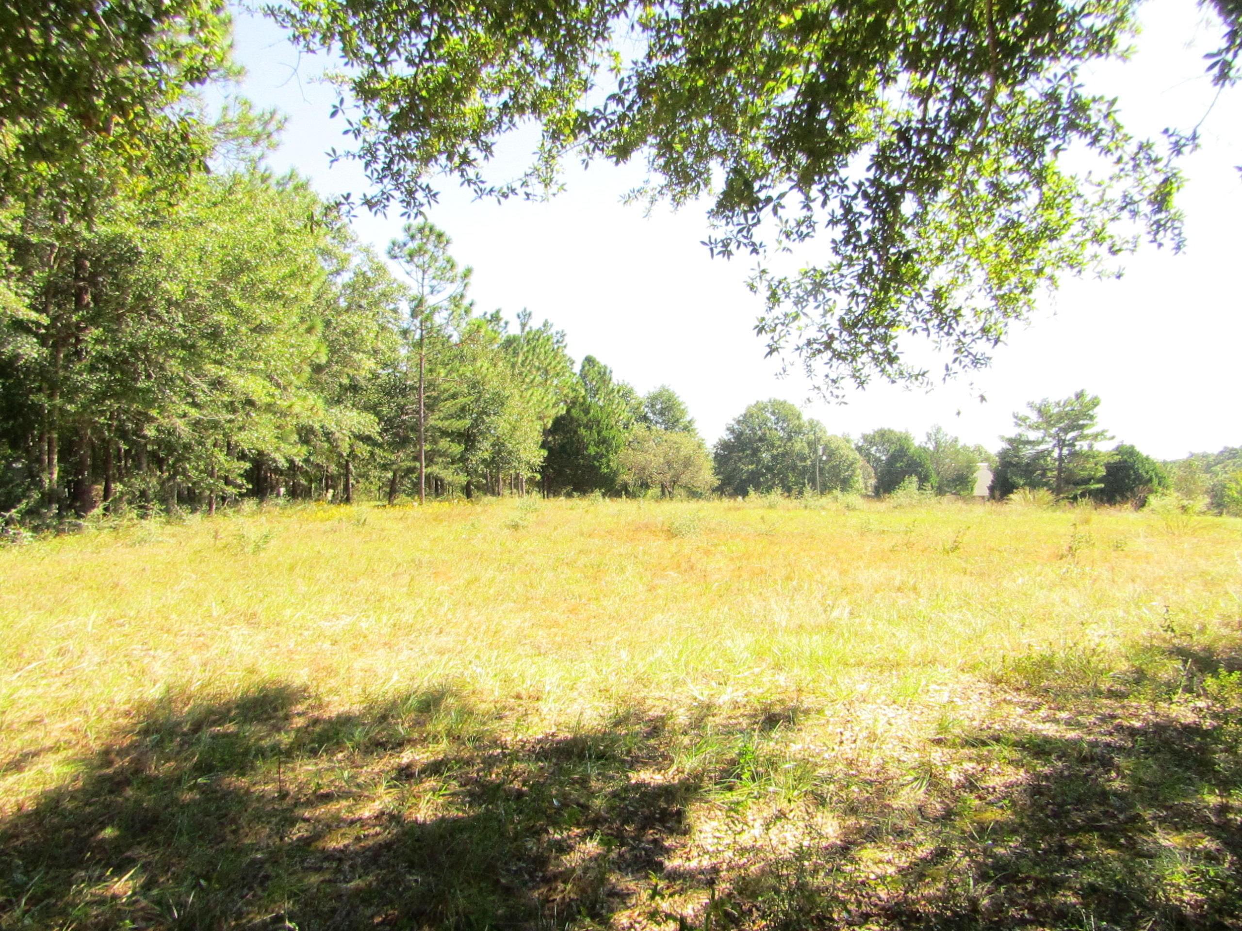1046 Valley Road Crestview, FL 32539 - Photo 1 of 16 Gallery Image 1