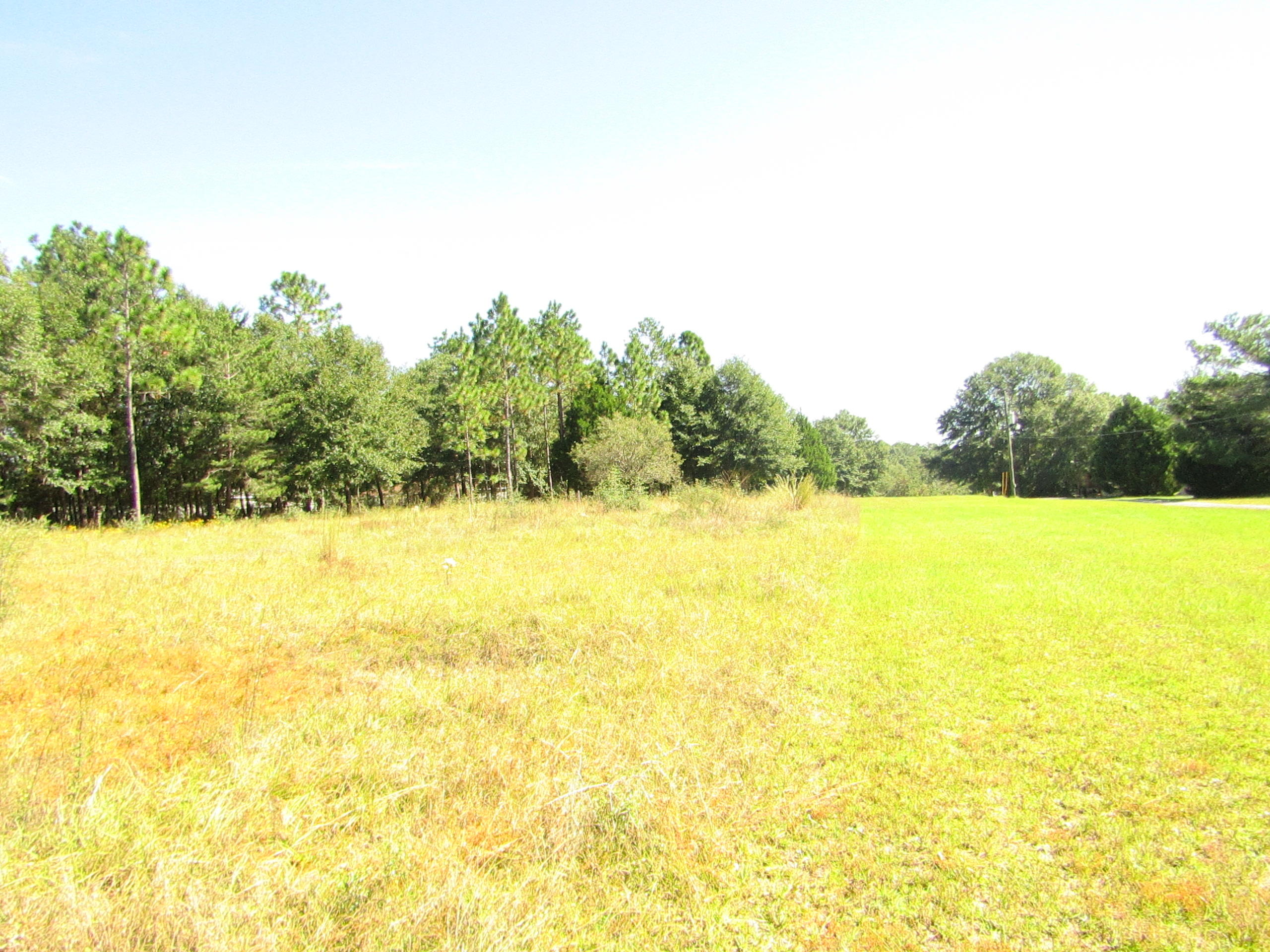 1046 Valley Road Crestview, FL 32539 - Photo 2 of 16 Gallery Image 2
