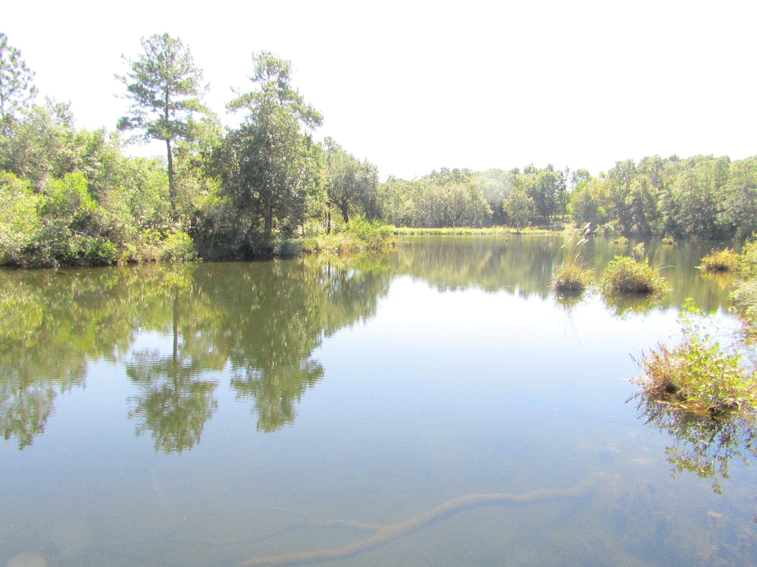 1046 Valley Road Crestview, FL 32539 - Photo 11 of 16 Gallery Image 11
