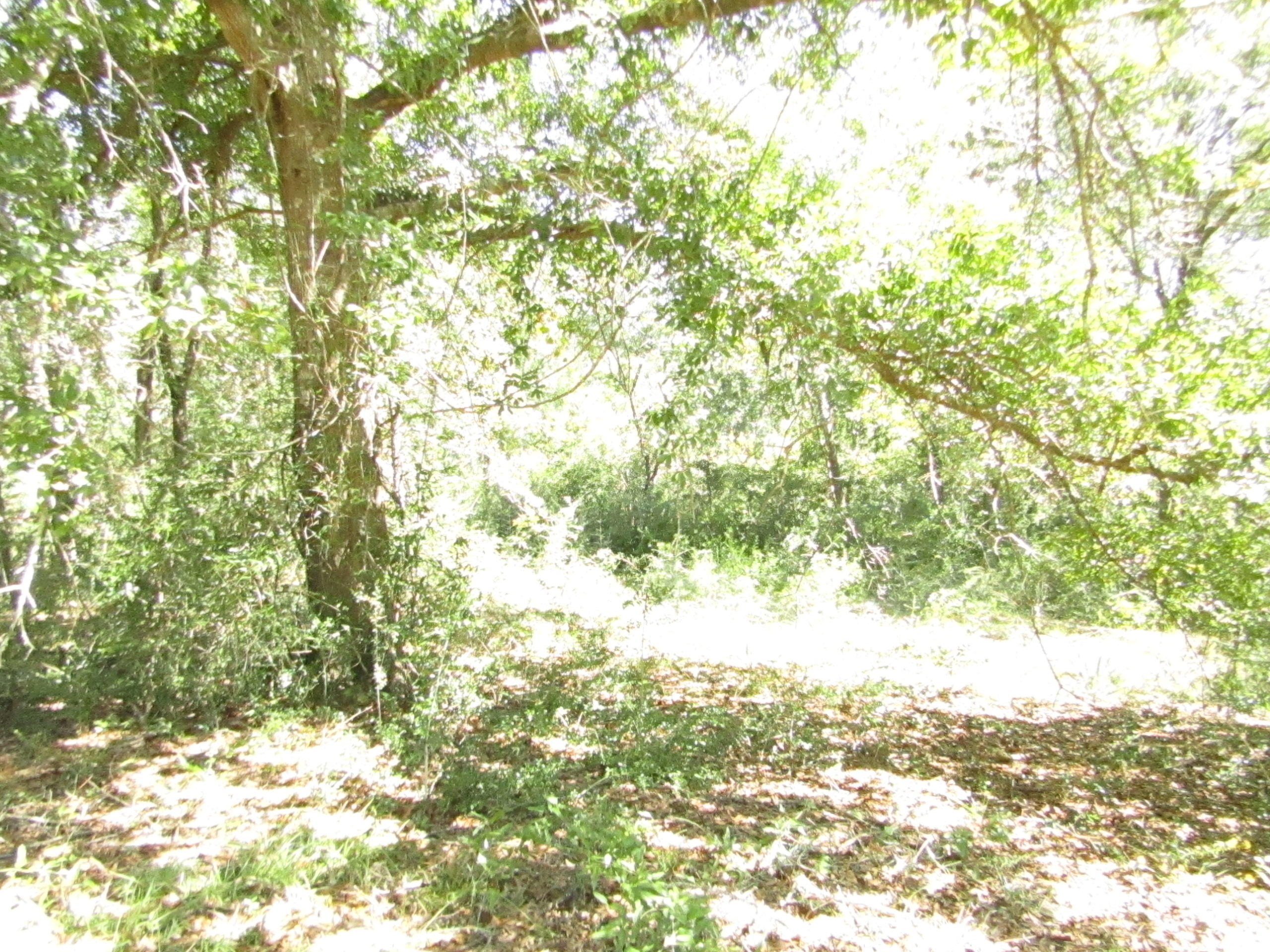 1046 Valley Road Crestview, FL 32539 - Photo 14 of 16 Gallery Image 14