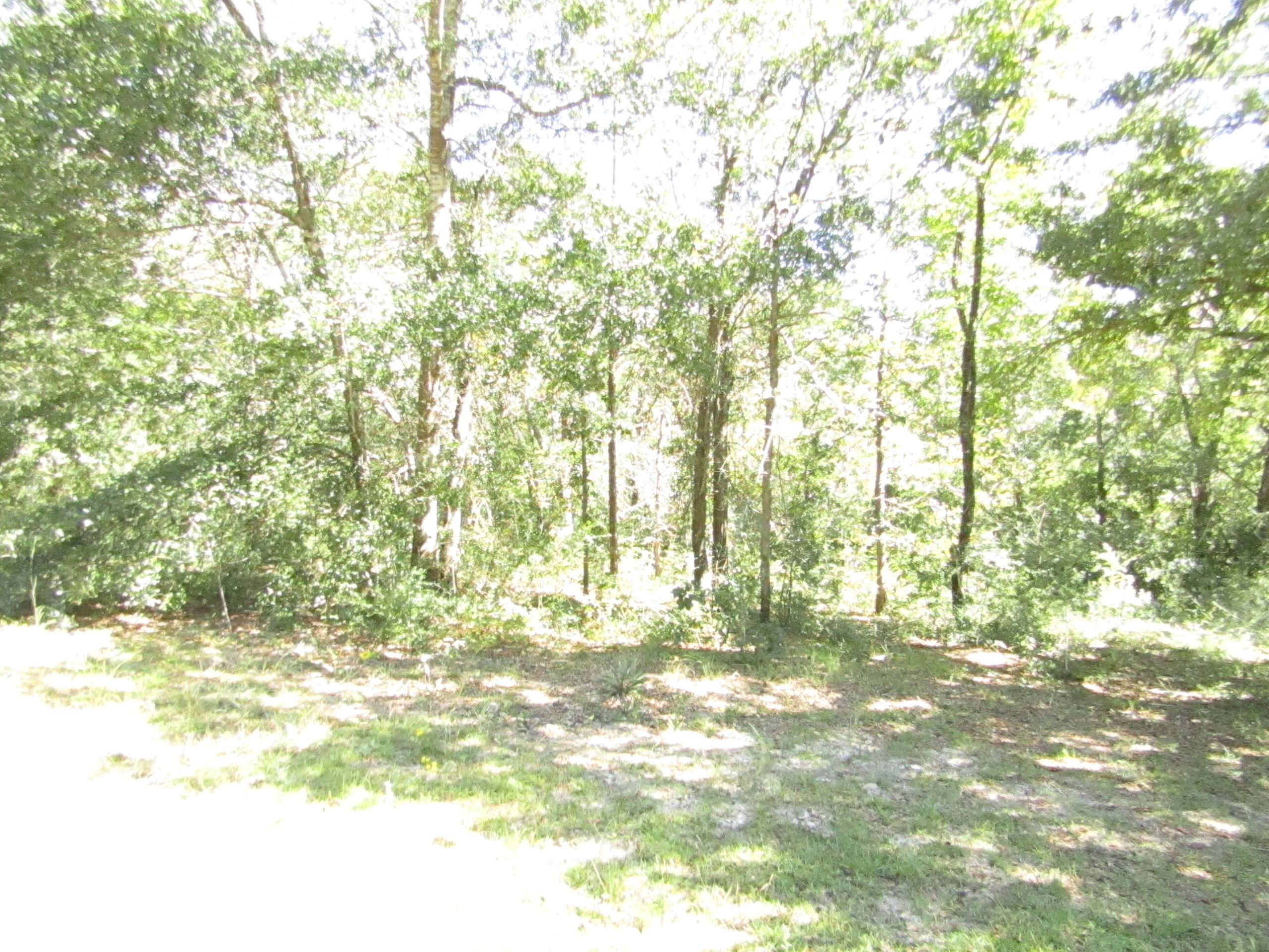 1046 Valley Road Crestview, FL 32539 - Photo 15 of 16 Gallery Image 15