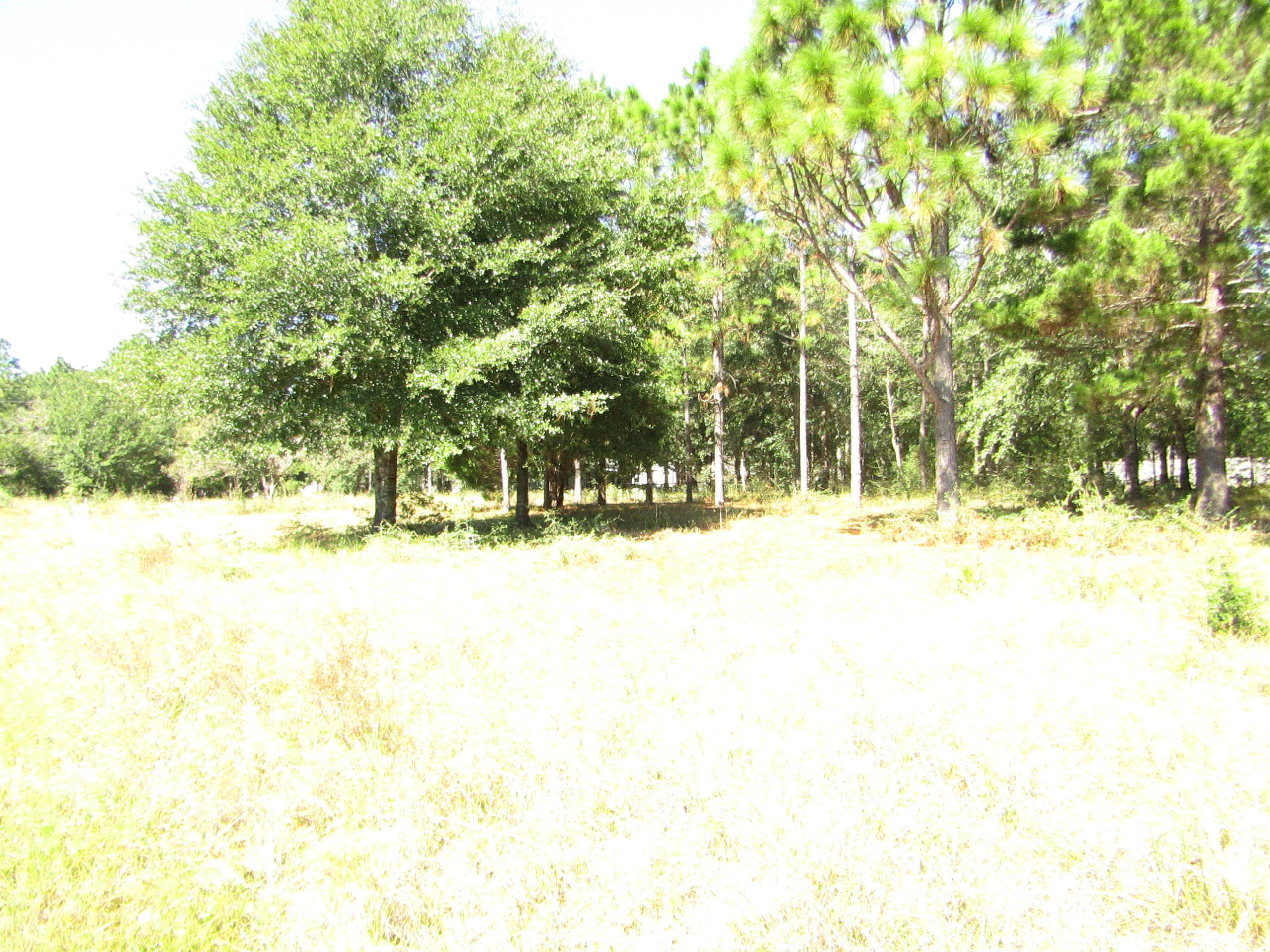 1046 Valley Road Crestview, FL 32539 - Photo 16 of 16 Gallery Image 16
