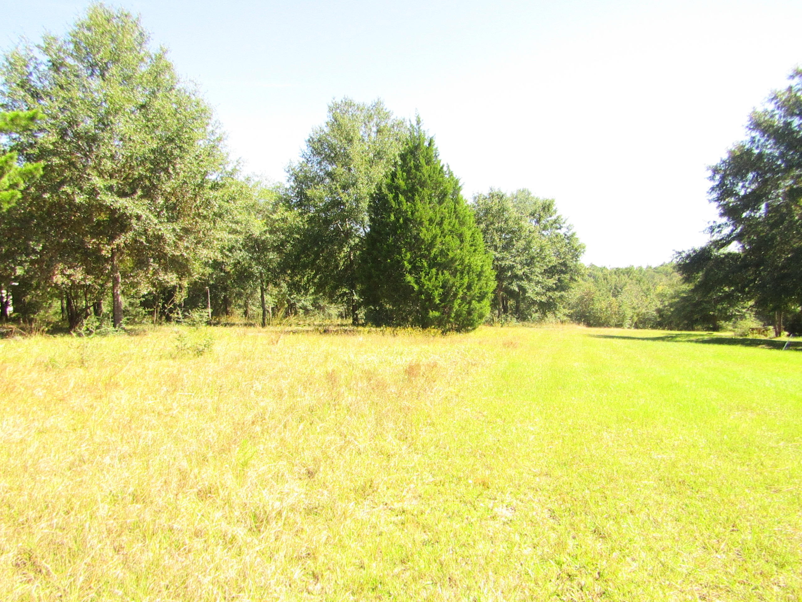 1046 Valley Road Crestview, FL 32539 - Photo 3 of 16 Gallery Image 3