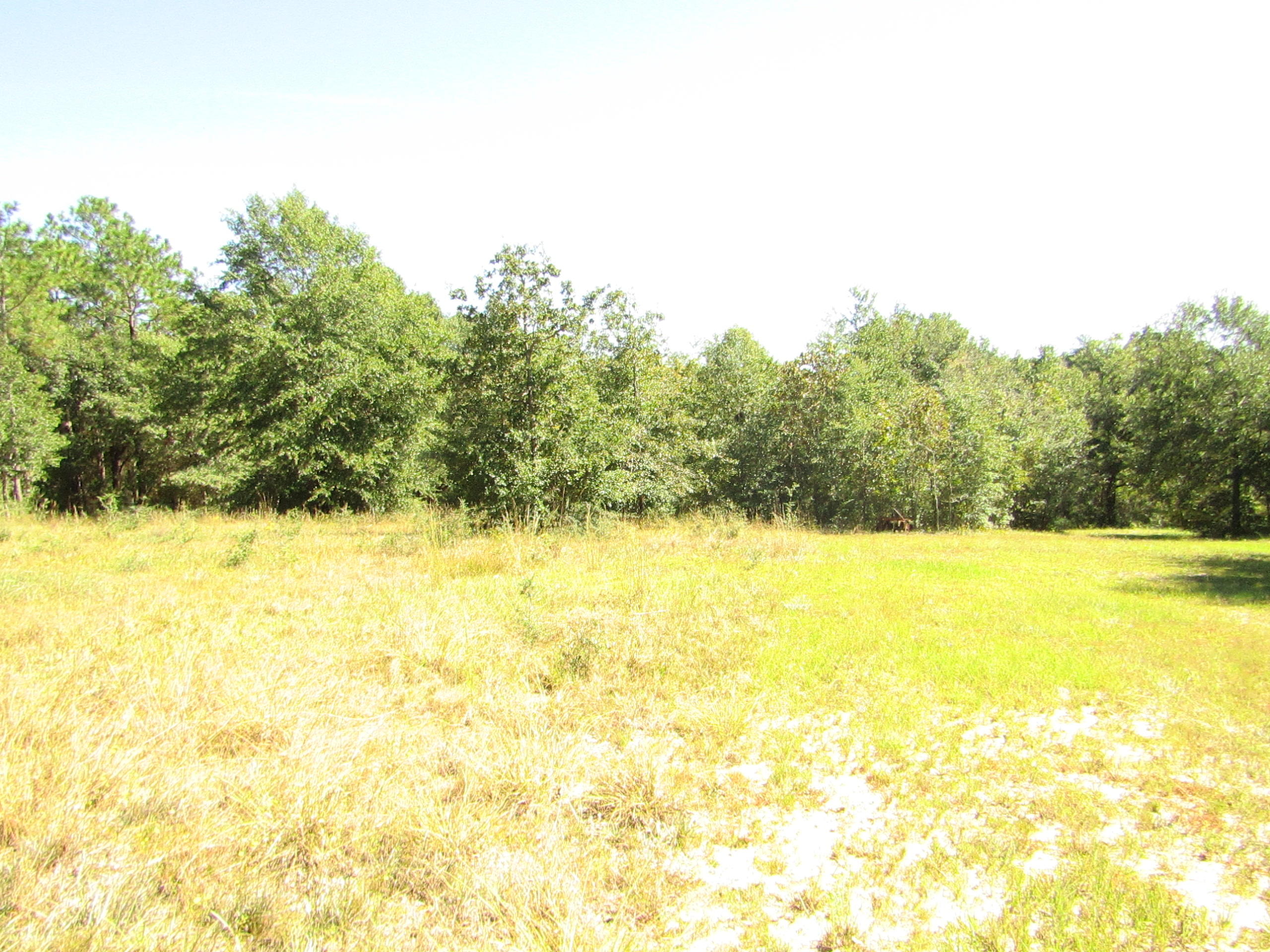 1046 Valley Road Crestview, FL 32539 - Photo 4 of 16 Gallery Image 4