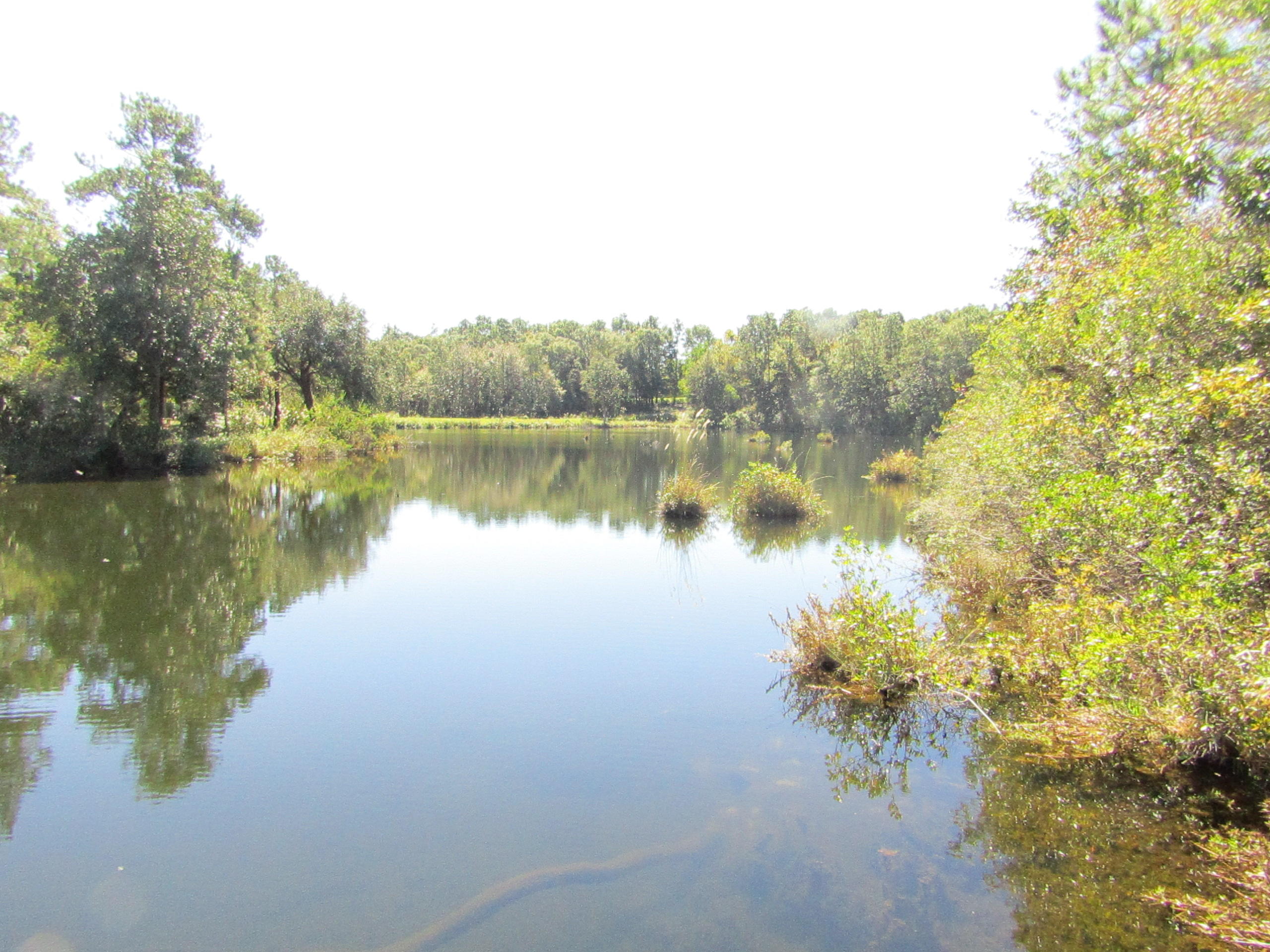 1046 Valley Road Crestview, FL 32539 - Photo 10 of 16 Gallery Image 10