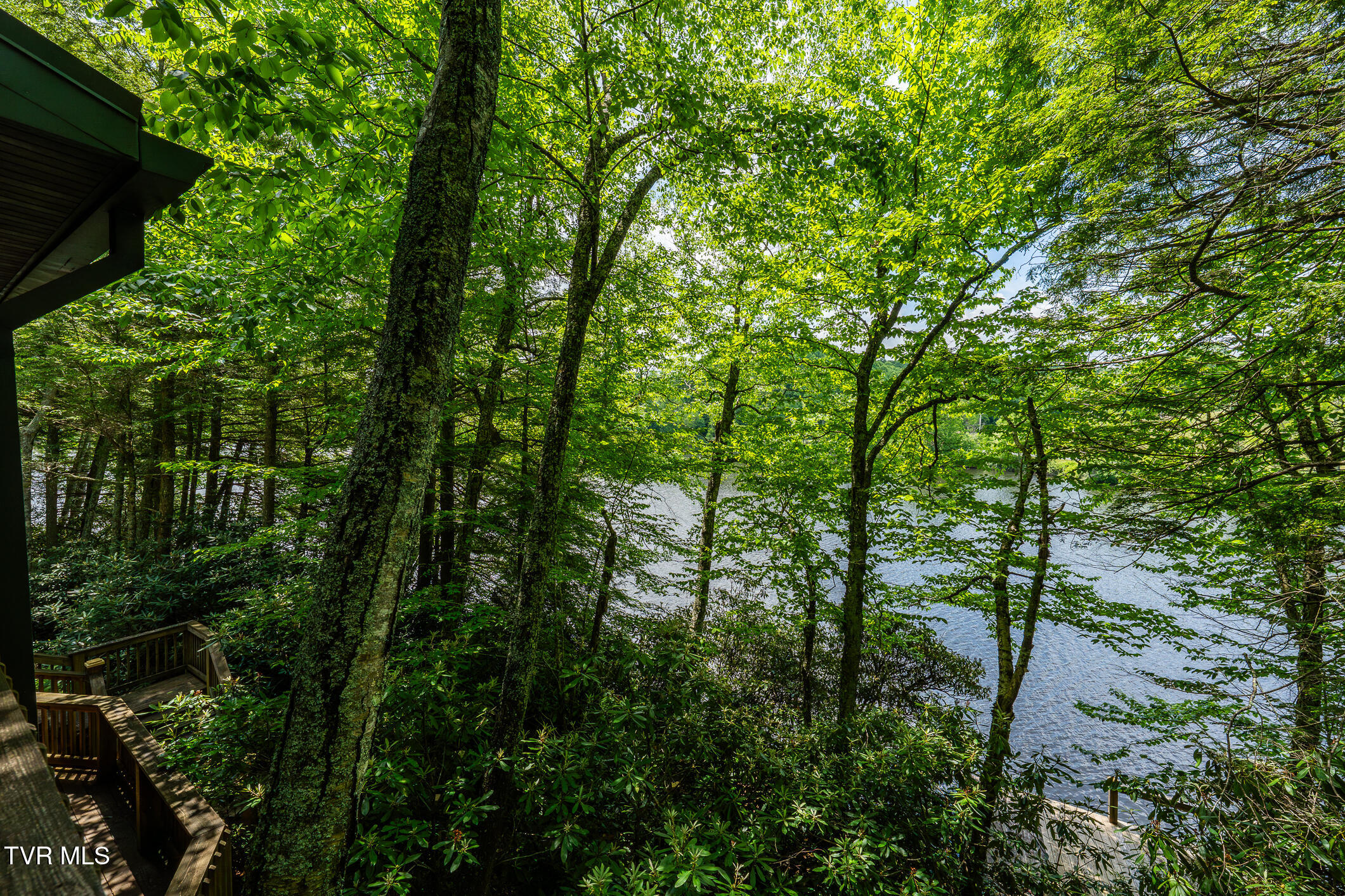 206 Ripshin Lake Road Roan Mountain, TN 37687 - Photo 18 of 76 206 Ripshin Lake Road (52 of 101)