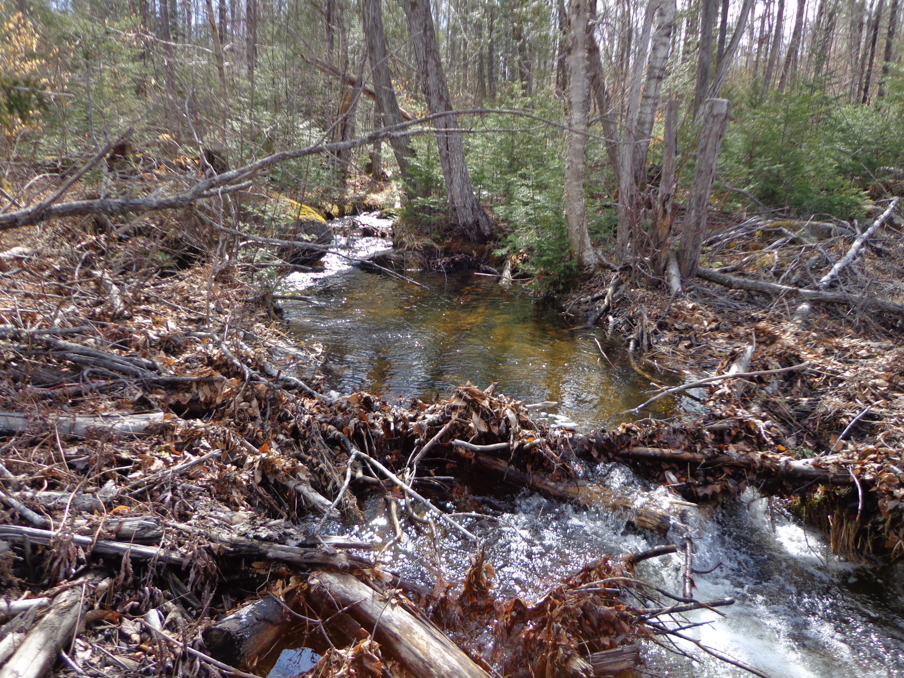 142 (salem Road) Road Strong, ME 04983 - Photo 15 of 17 small stream