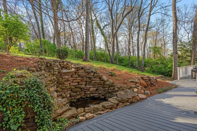 a view of a yard with plants and trees