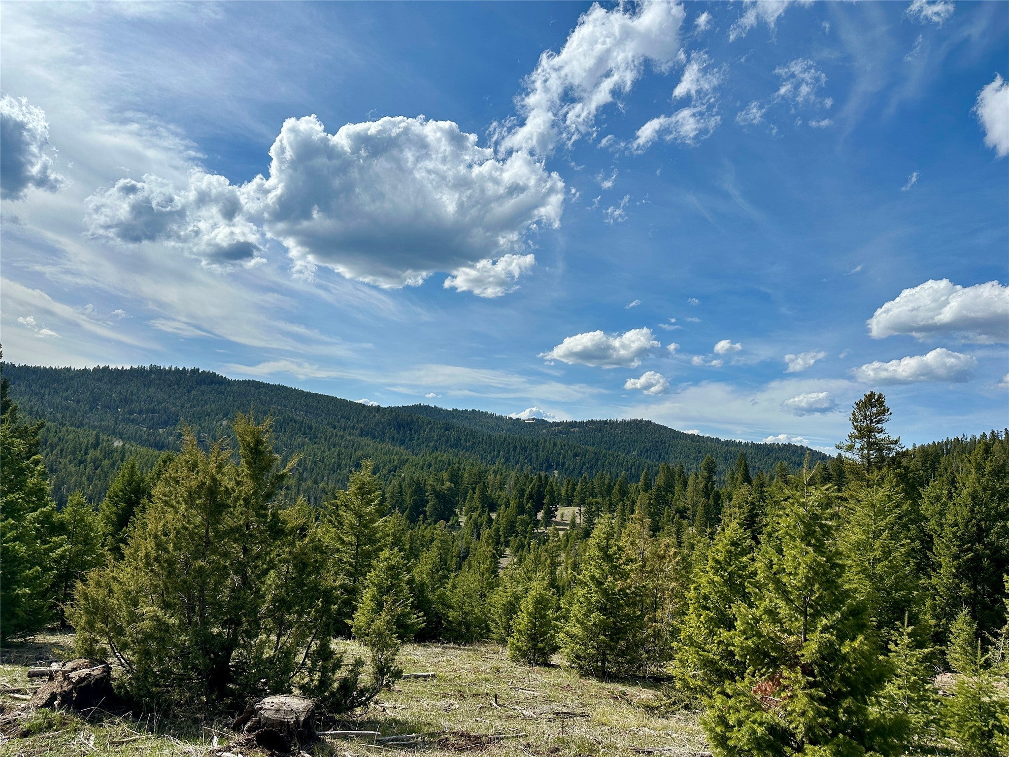 Nhn Slate Road Gold Creek, MT 59733 - Photo 1 of 1 Potential Build Spot
