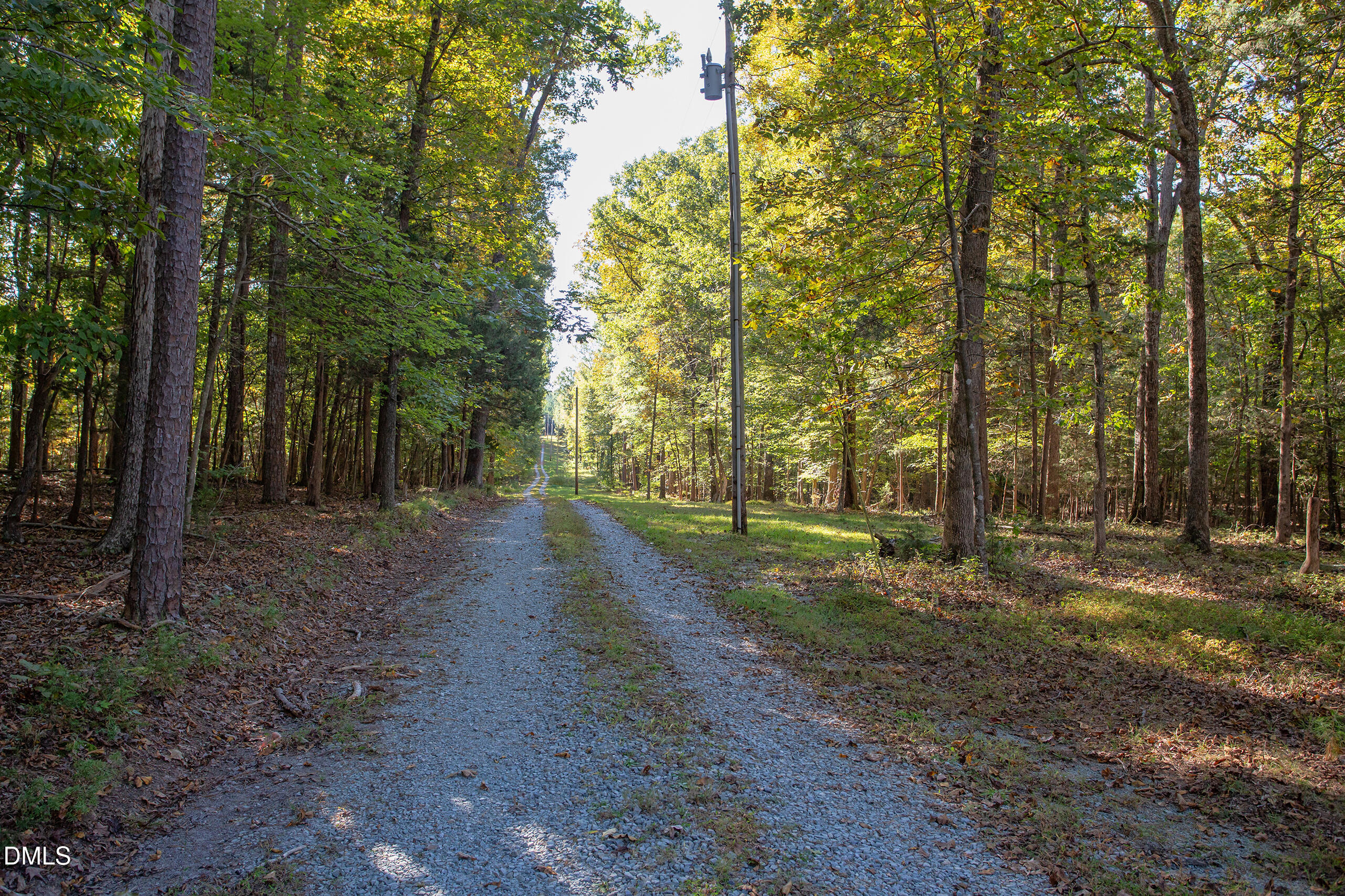 2120 New Sharon Church Road Hillsborough, NC 27278 - Photo 2 of 51 a view of a forest with trees