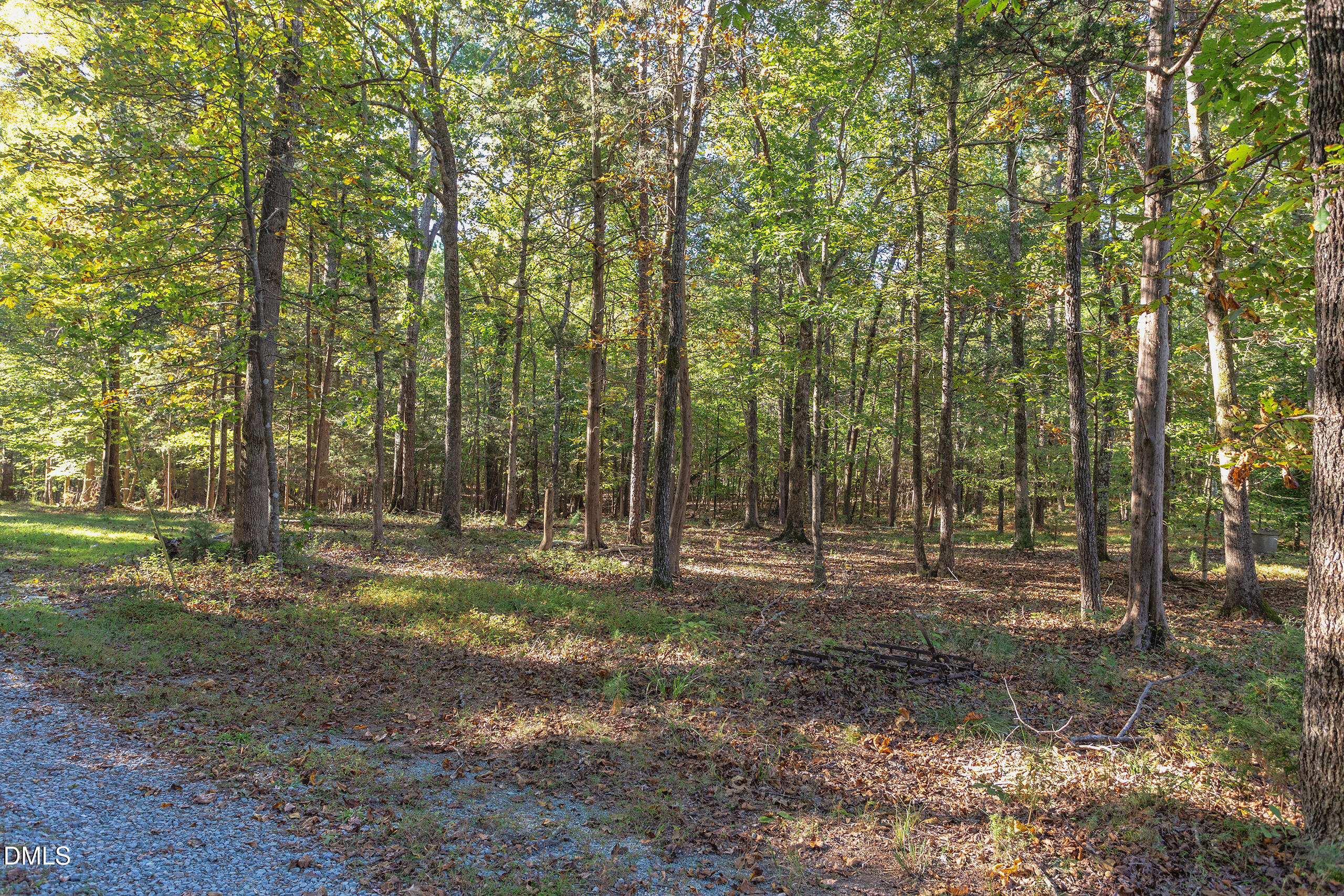 2120 New Sharon Church Road Hillsborough, NC 27278 - Photo 3 of 51 a view of outdoor space with trees