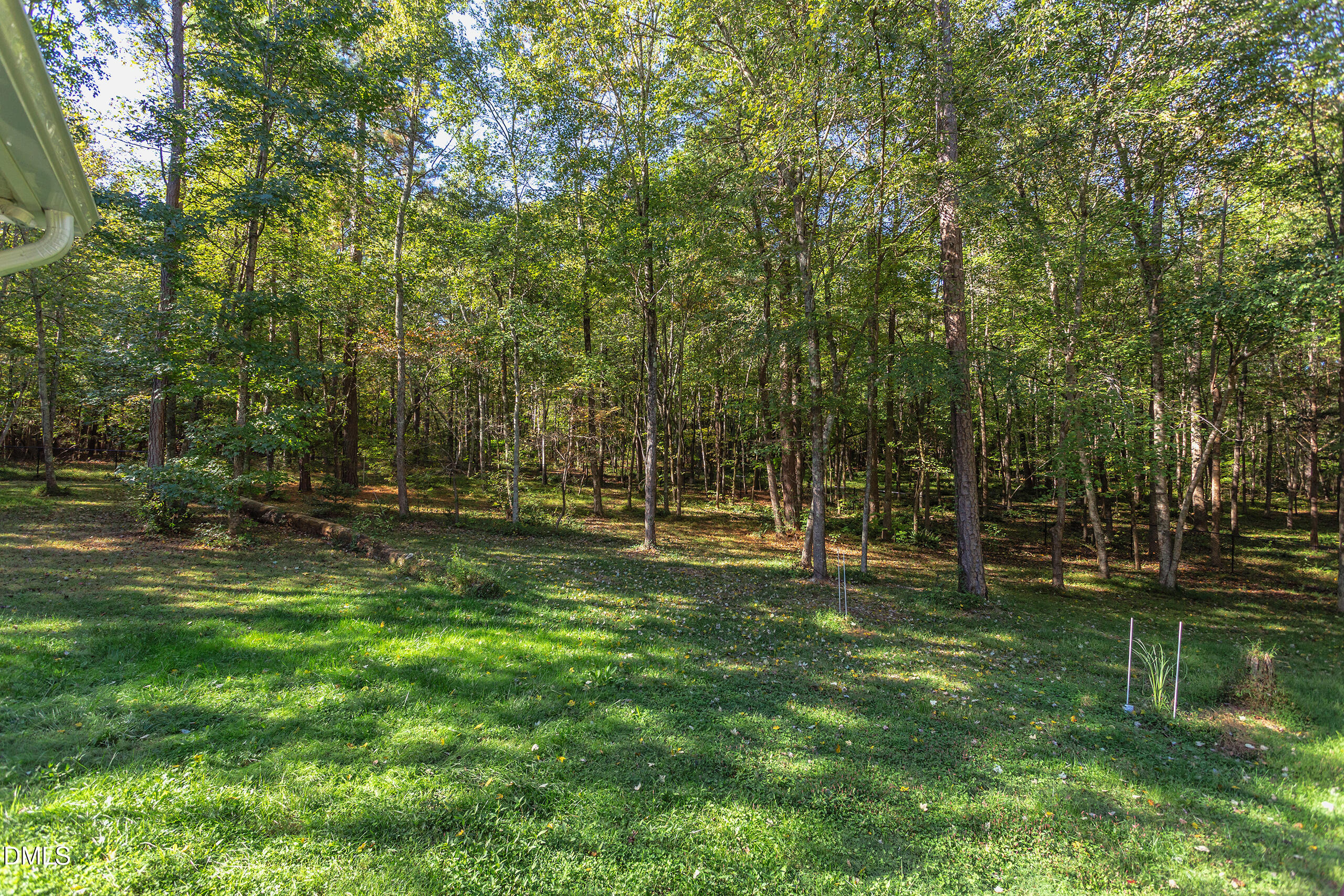 2120 New Sharon Church Road Hillsborough, NC 27278 - Photo 34 of 51 a view of a park with large trees