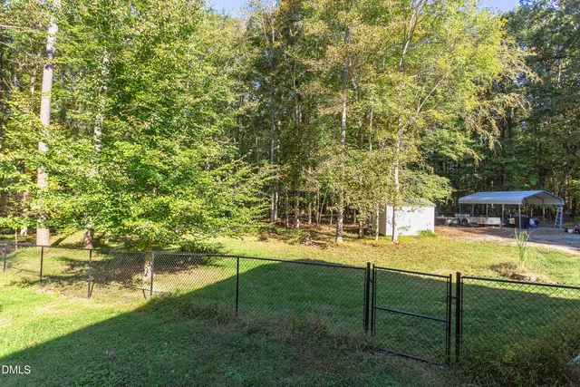 a view of a park with large trees