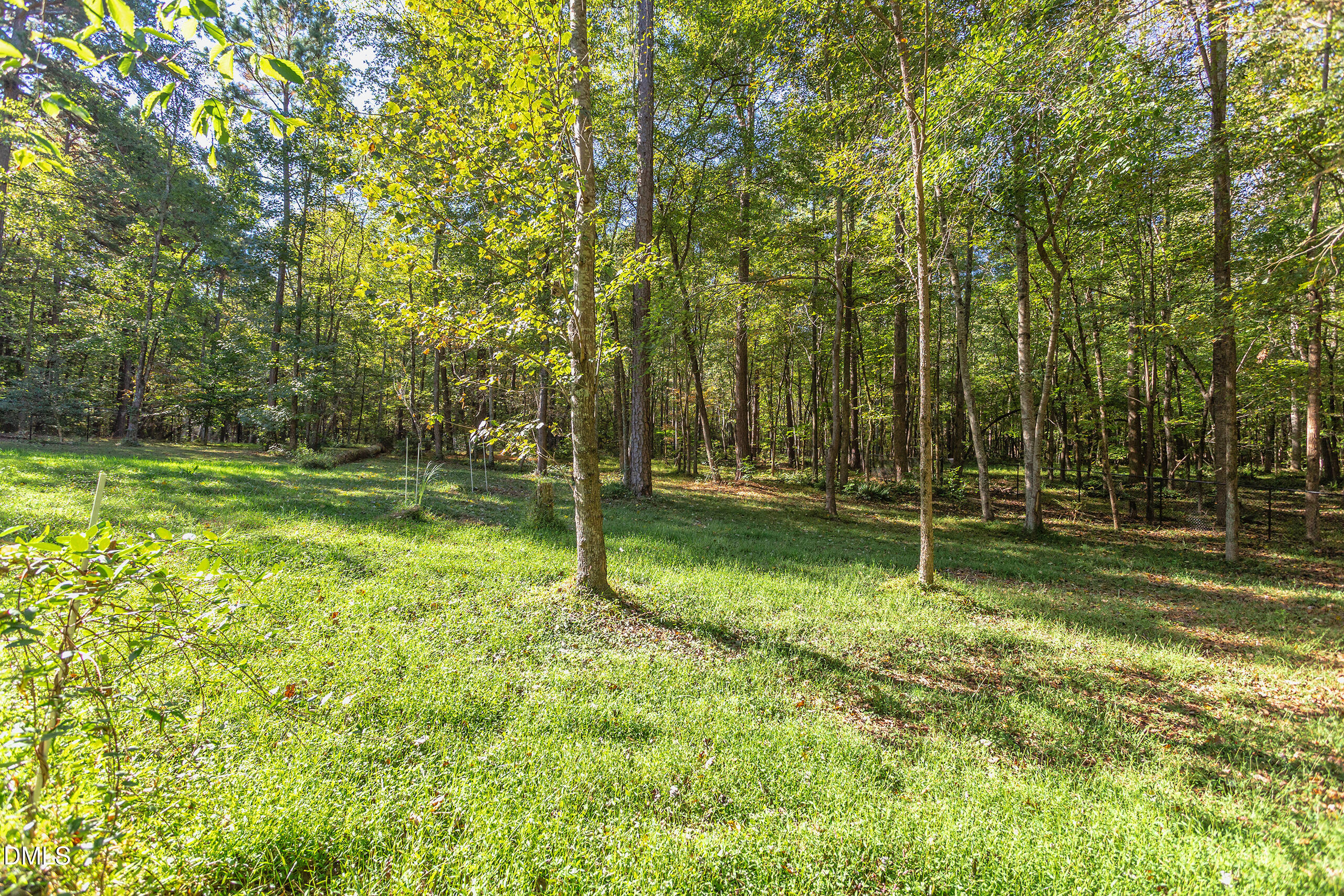 2120 New Sharon Church Road Hillsborough, NC 27278 - Photo 37 of 51 a view of a park with large trees