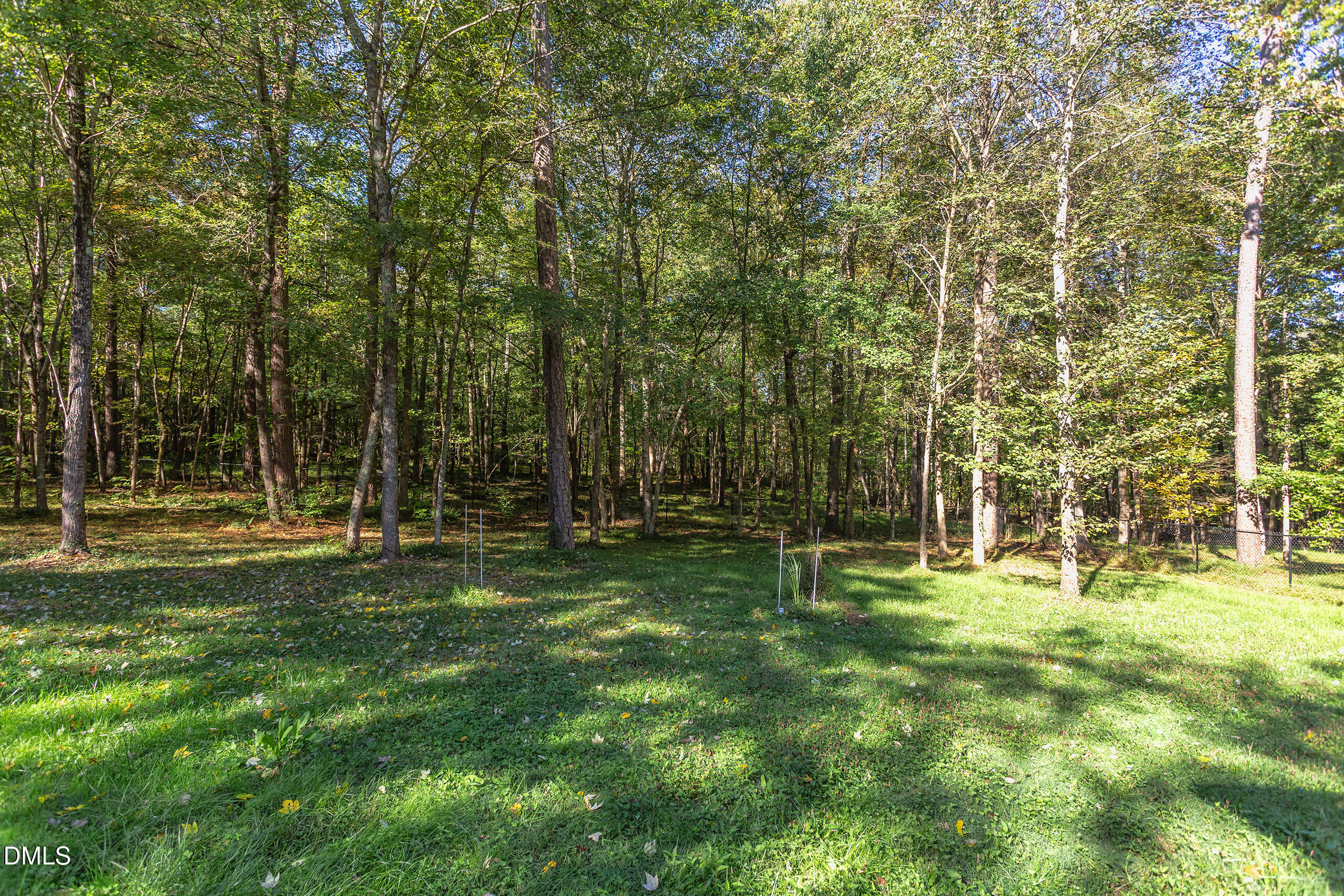 2120 New Sharon Church Road Hillsborough, NC 27278 - Photo 38 of 51 a view of a park with large trees