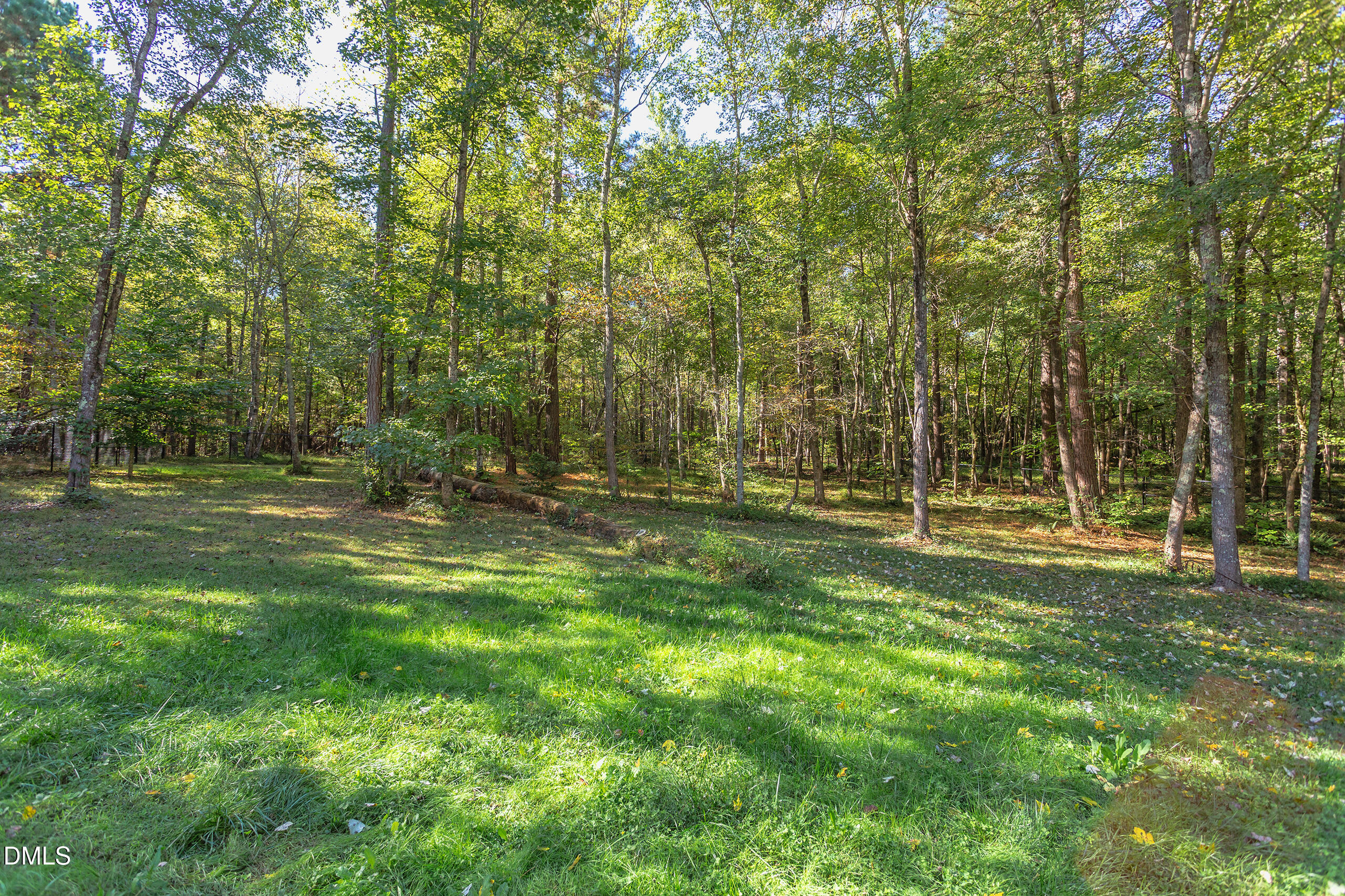 2120 New Sharon Church Road Hillsborough, NC 27278 - Photo 39 of 51 a view of a park with trees