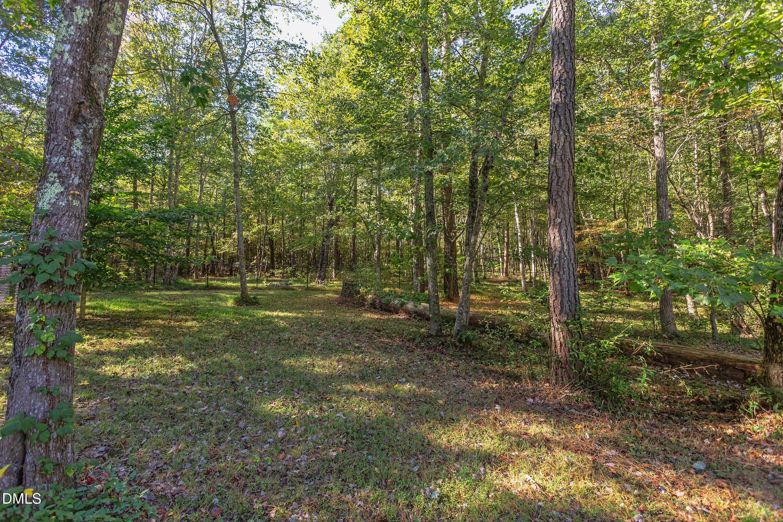 2120 New Sharon Church Road Hillsborough, NC 27278 - Photo 40 of 51 a view of a field with trees in the background