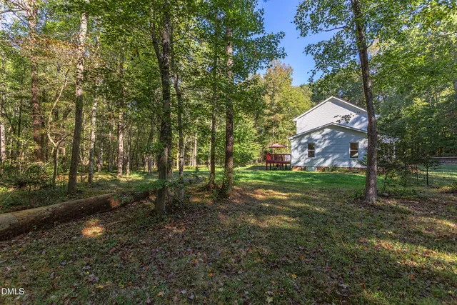 a view of a yard with large trees