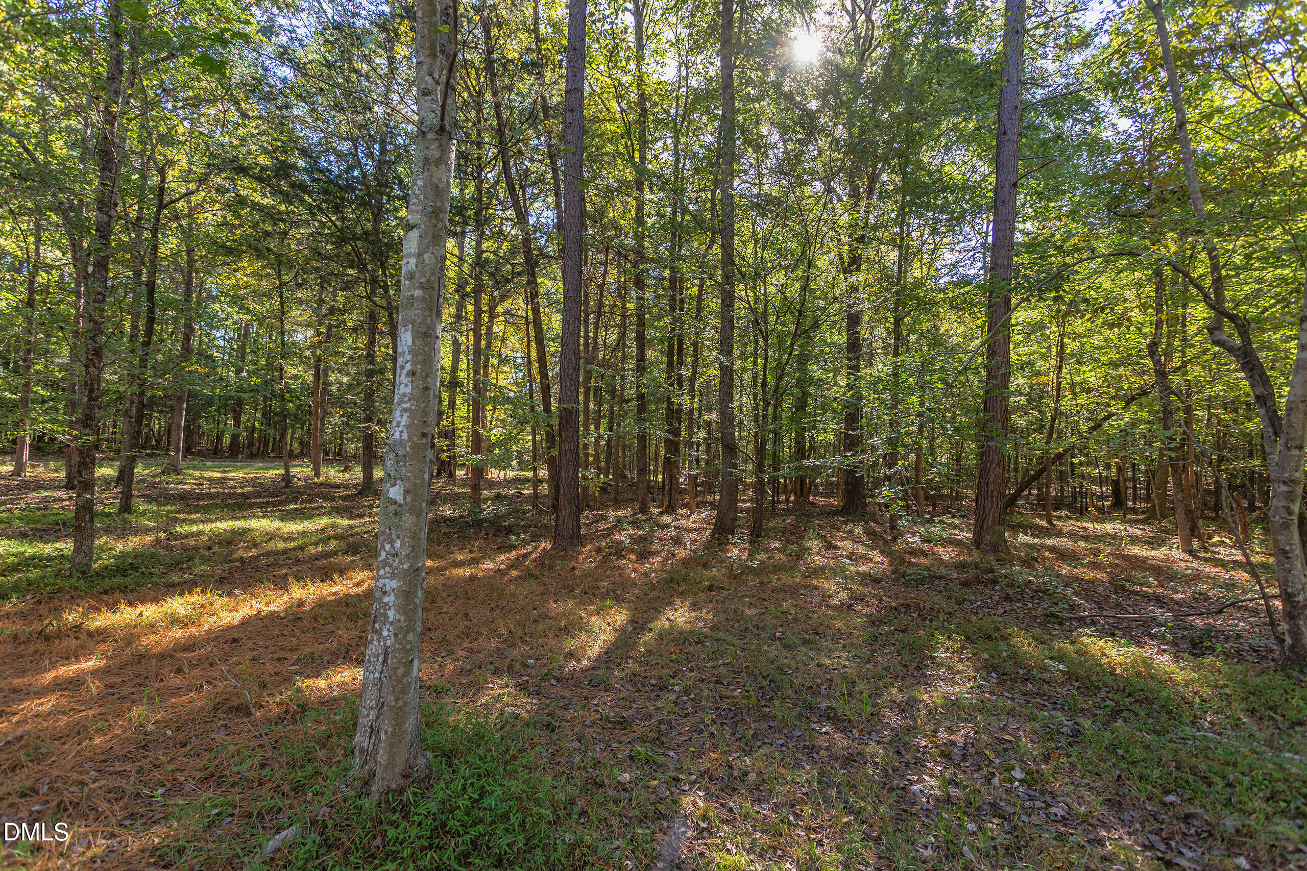 2120 New Sharon Church Road Hillsborough, NC 27278 - Photo 44 of 51 a view of a yard with plants and trees