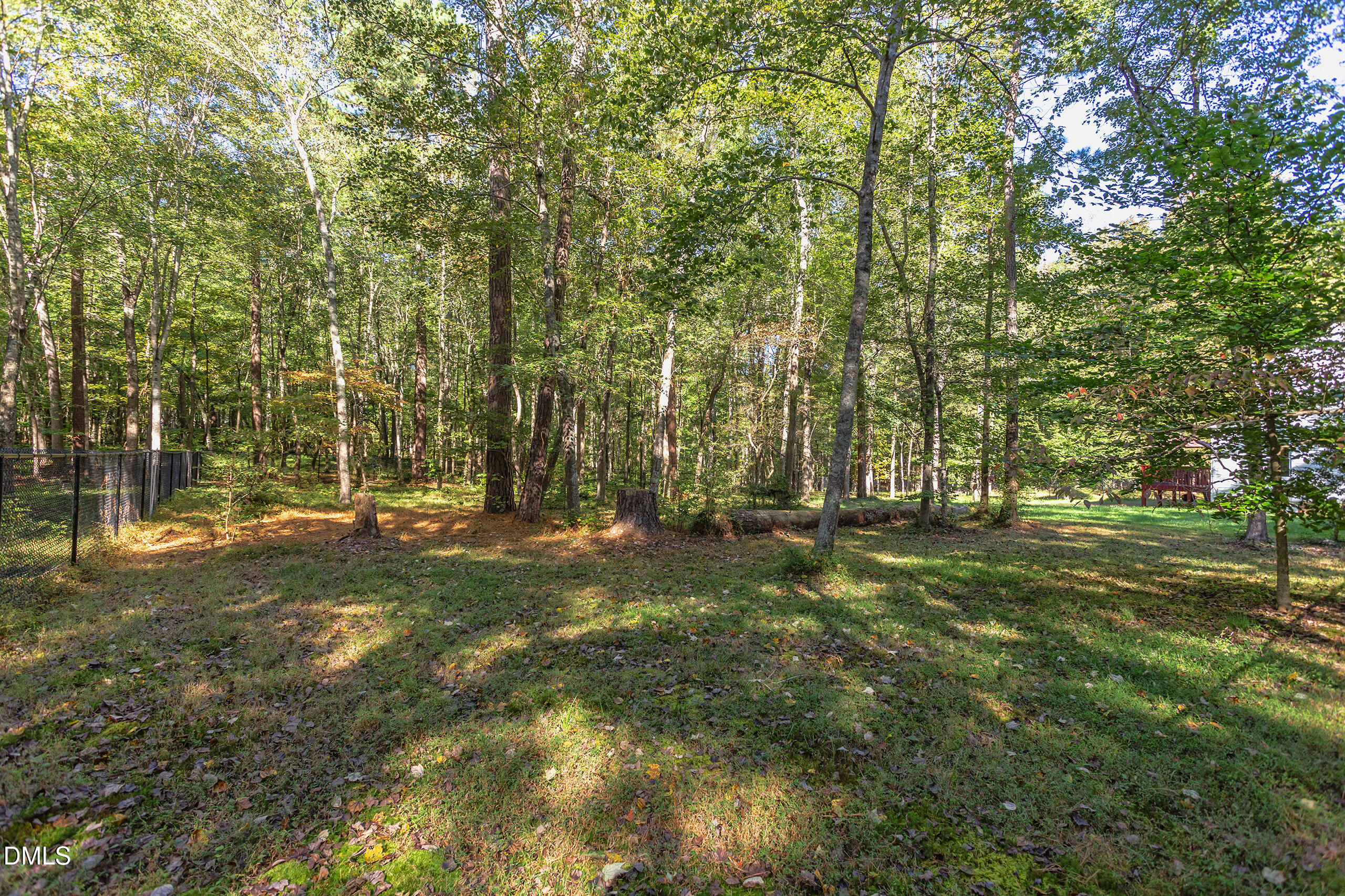 2120 New Sharon Church Road Hillsborough, NC 27278 - Photo 45 of 51 a view of a tree in a yard
