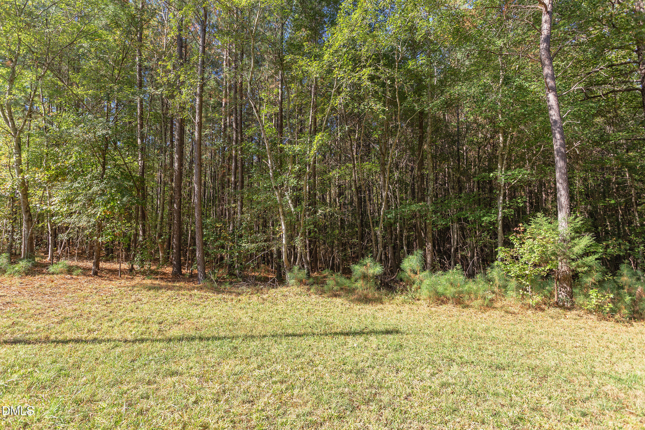 2120 New Sharon Church Road Hillsborough, NC 27278 - Photo 46 of 51 a view of swimming pool and trees