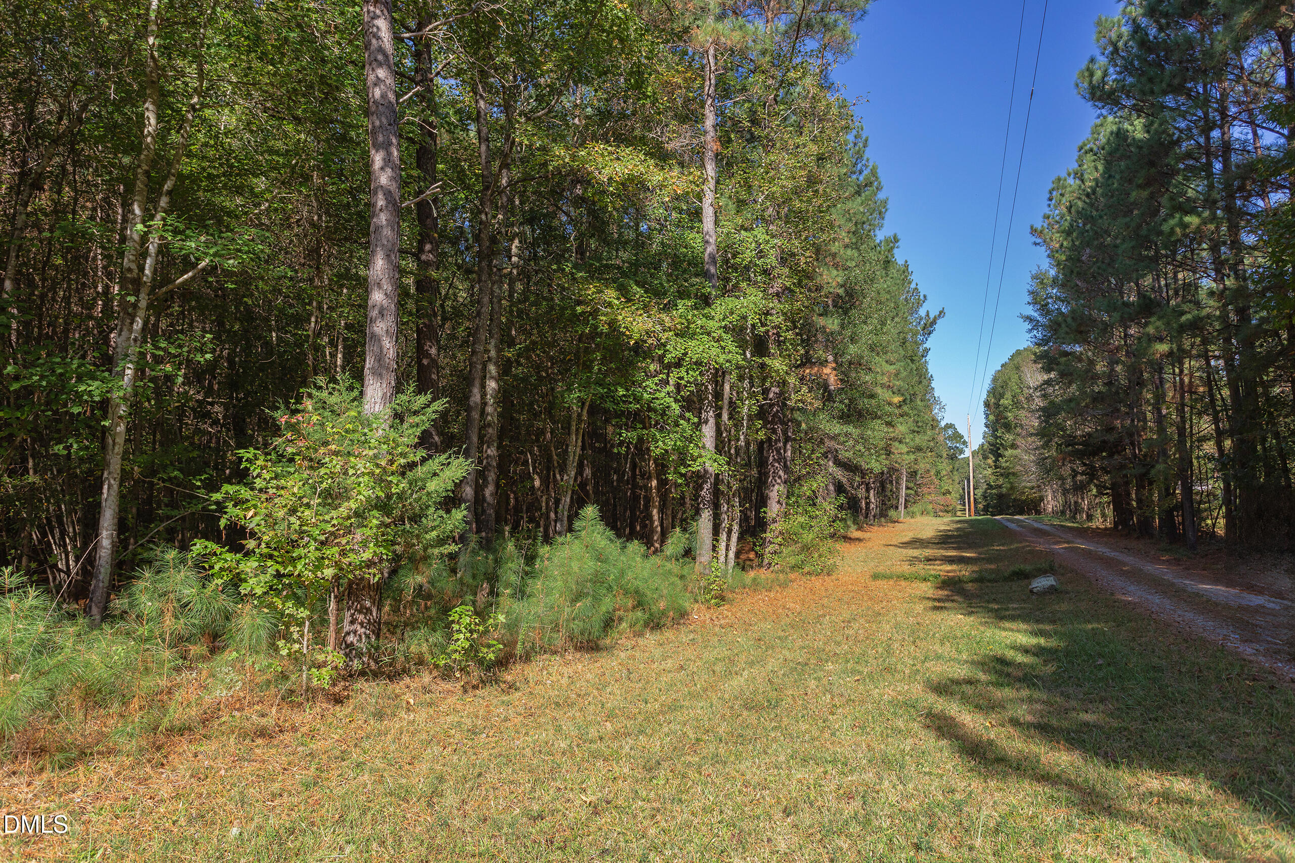 2120 New Sharon Church Road Hillsborough, NC 27278 - Photo 47 of 51 a view of a yard with plants and trees