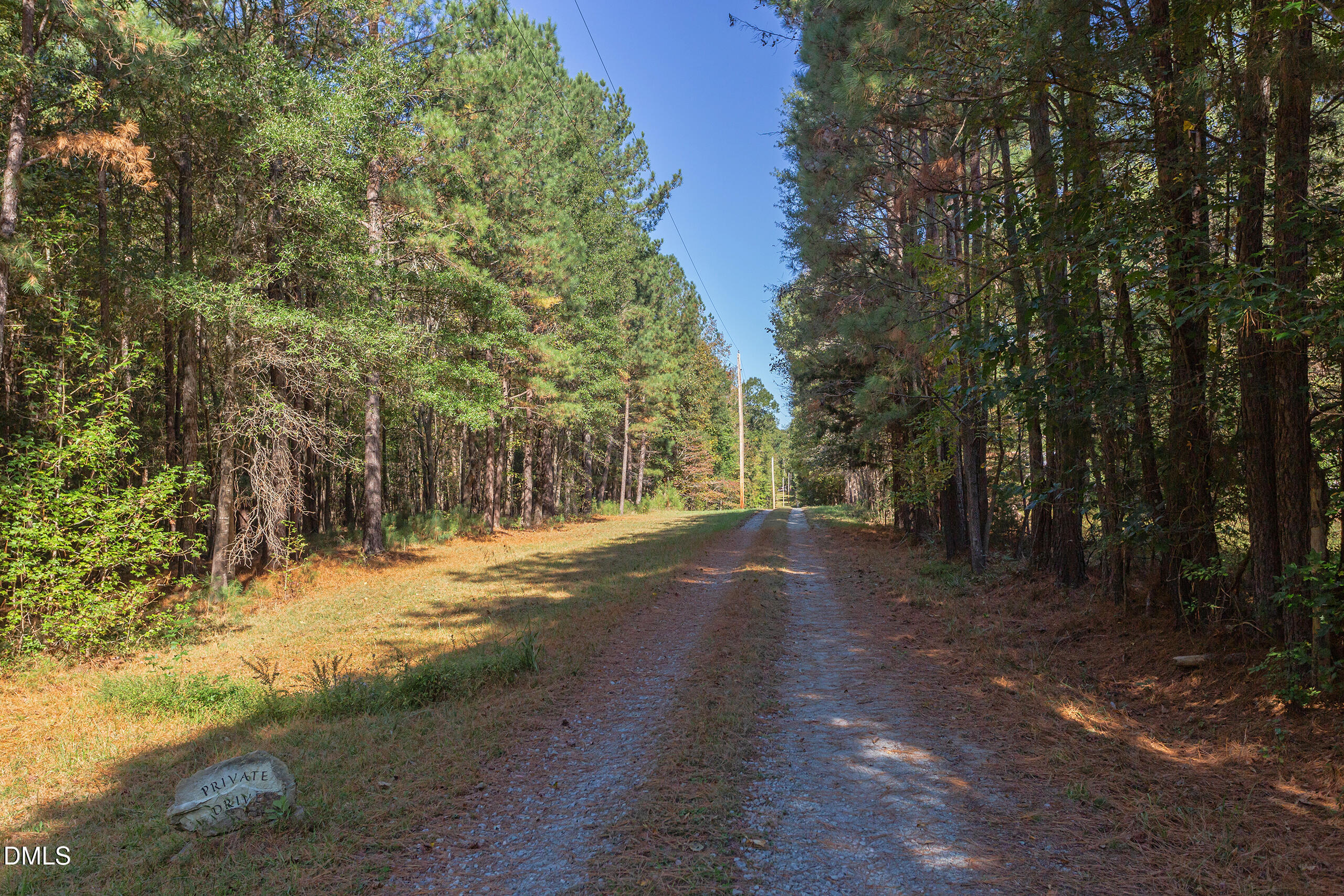 2120 New Sharon Church Road Hillsborough, NC 27278 - Photo 51 of 51 a view of a yard with trees