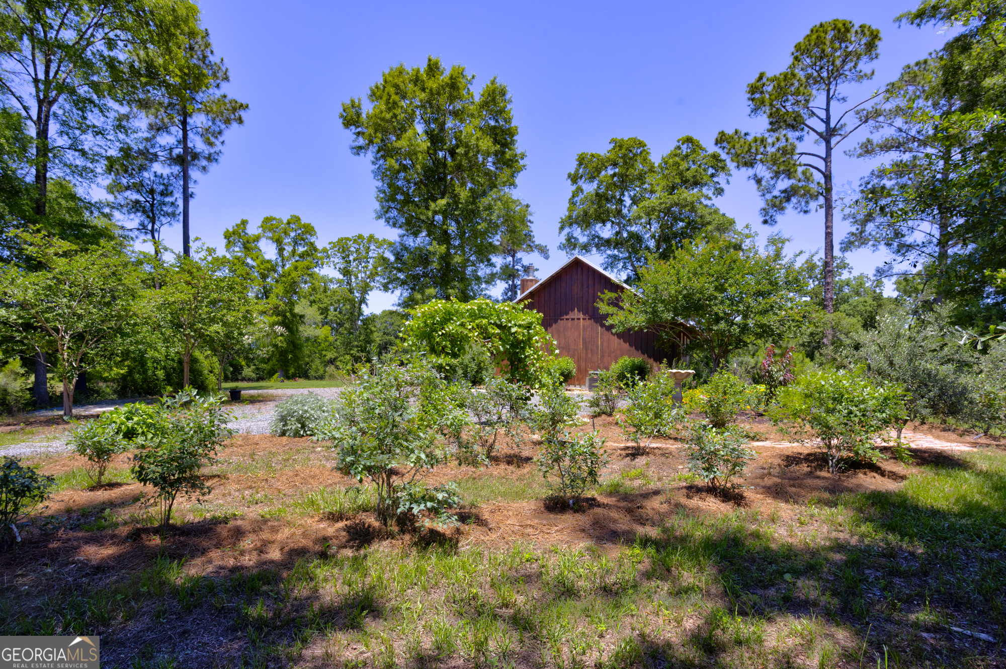 246 Melton Mill Road Dawson, GA 39842 - Photo 22 of 78