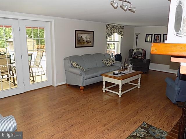1009 Timber Trail Road Baltimore, MD 21286 - Photo 18 of 19 Finished lower level with fireplace