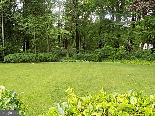 1009 Timber Trail Road Baltimore, MD 21286 - Photo 5 of 19 Large fenced yard