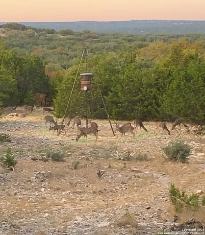 a view of a yard with a lake view