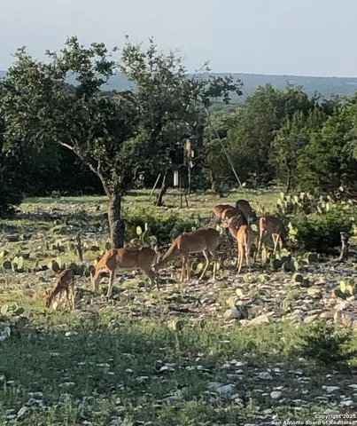 a view of a lake view