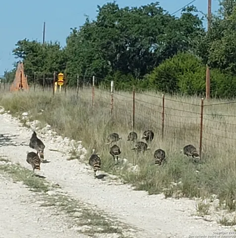 $539,000 | 932 Shin Oak Road, Menard, TX 76859