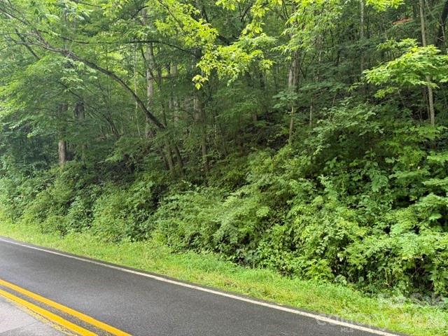 Tbd Meadow Fork Road Hot Springs, NC 28743 - Photo 6 of 20