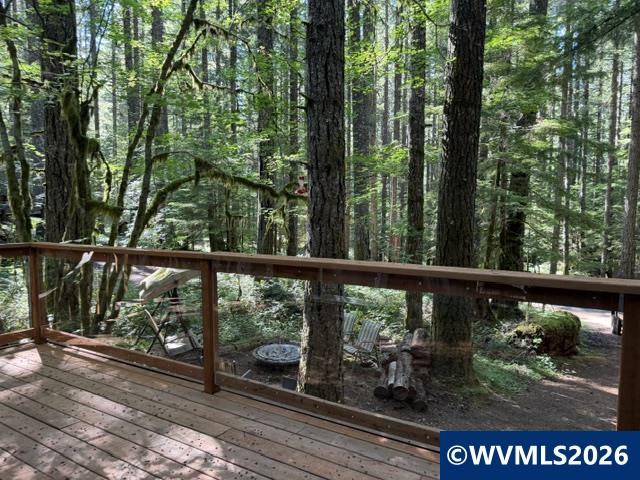 66 B Stahlman Fs 049 Road Detroit, OR 97342 - Photo 25 of 32