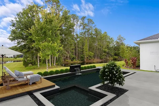 a view of a park with large trees