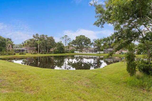 $999,999 | 7520 Ashbrooke Pine Loop, Odessa, FL 33556