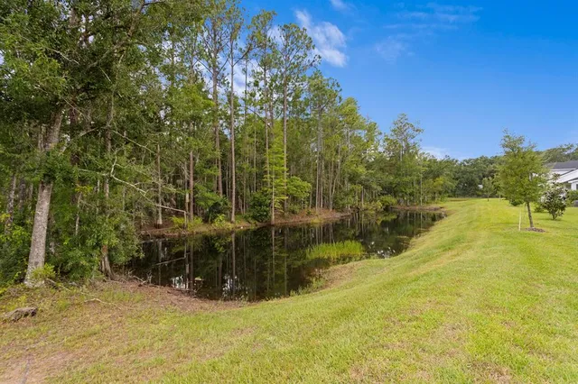 $999,999 | 7520 Ashbrooke Pine Loop, Odessa, FL 33556