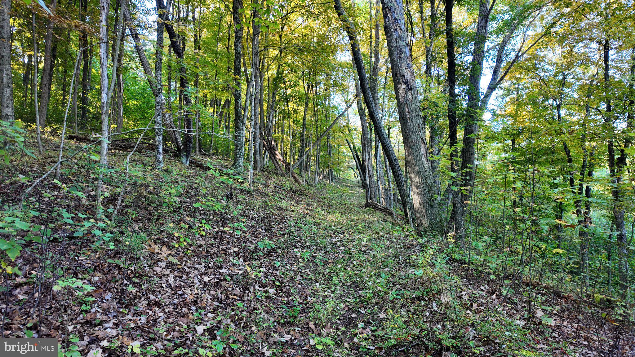 Cold Run Valley Road Berkeley Springs, WV 25411 - Photo 77 of 83 Gallery Image 77