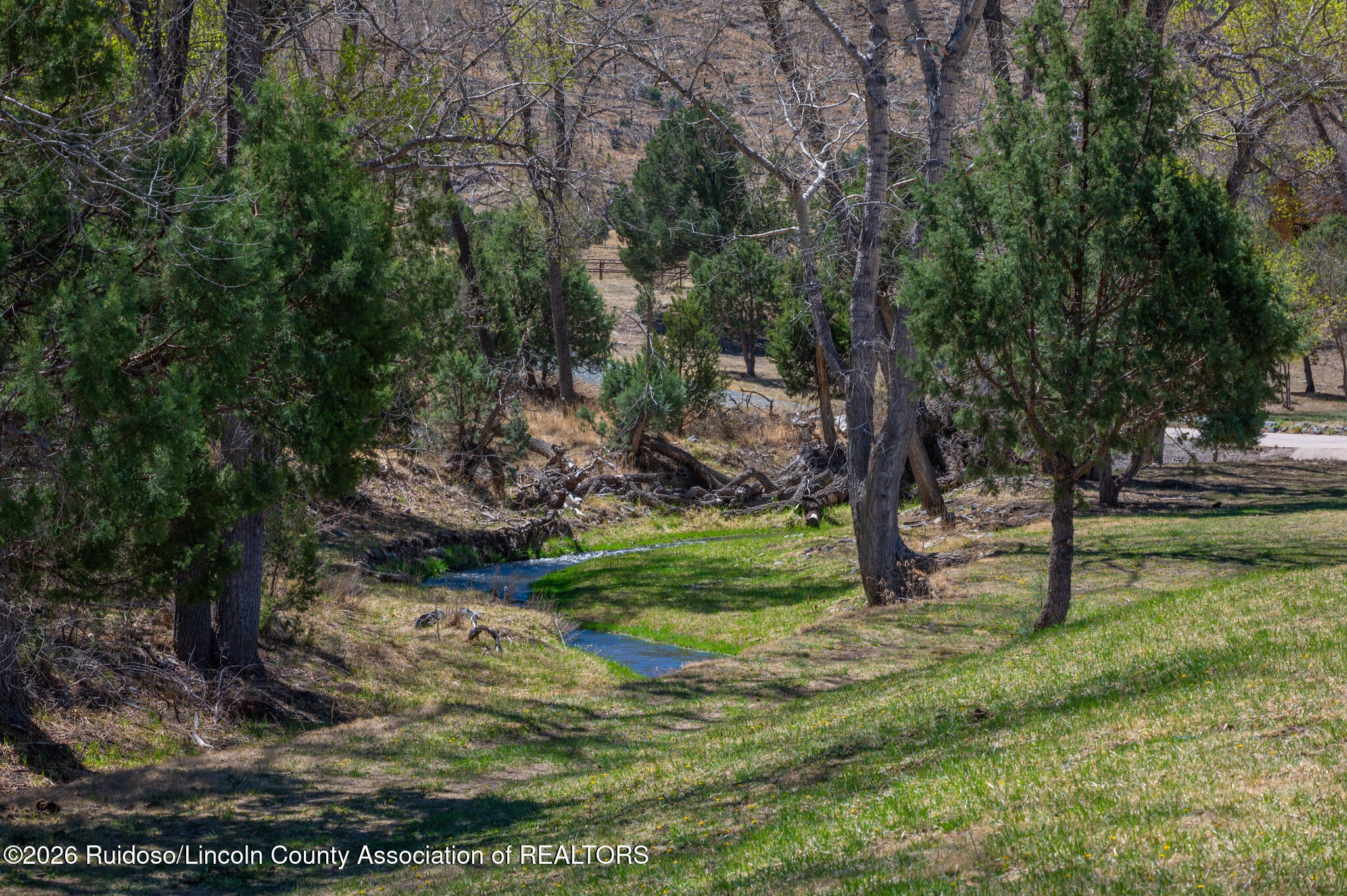 228 Copper Canyon Road Alto, NM 88312 - Photo 2 of 222 Gallery Image 2