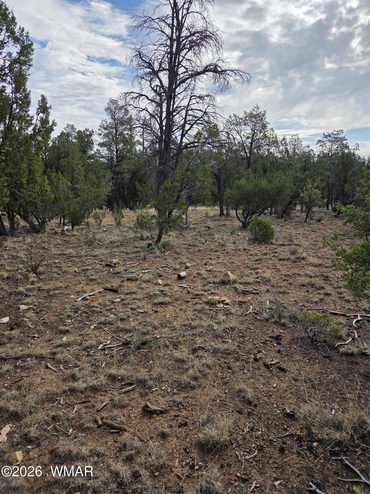 3332 Sawmill Ridge Loop Heber, AZ 85928 - Photo 7 of 12