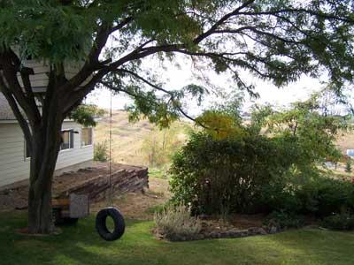 12202 Summitview Ext Road Yakima, WA 98908 - Photo 17 of 19 a view of a backyard with a tree
