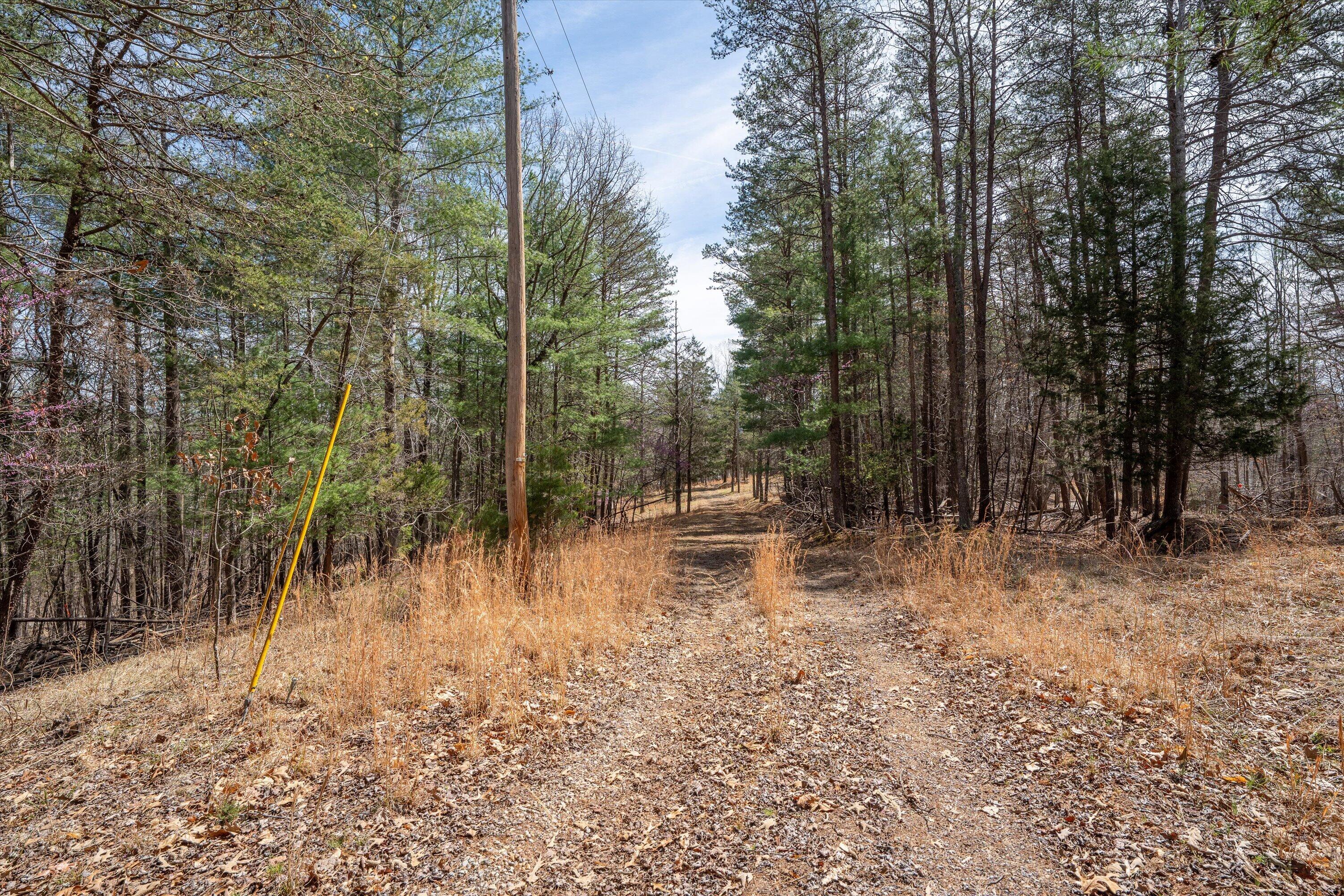 Tbd Tbd Judy Lane Moneta, VA 24121 - Photo 14 of 33 12-DSC (1)