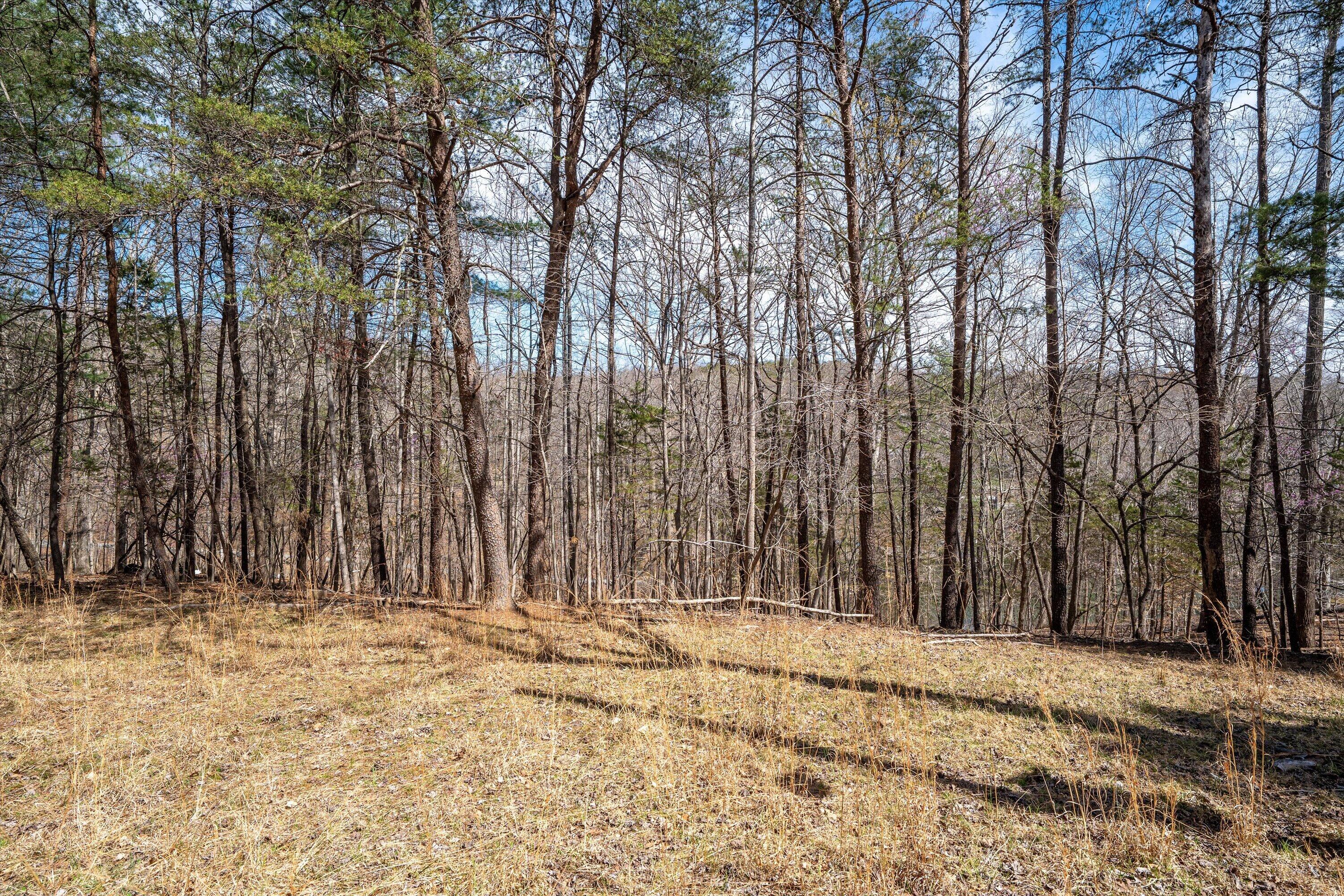 Tbd Tbd Judy Lane Moneta, VA 24121 - Photo 17 of 33 15-DSC (4)