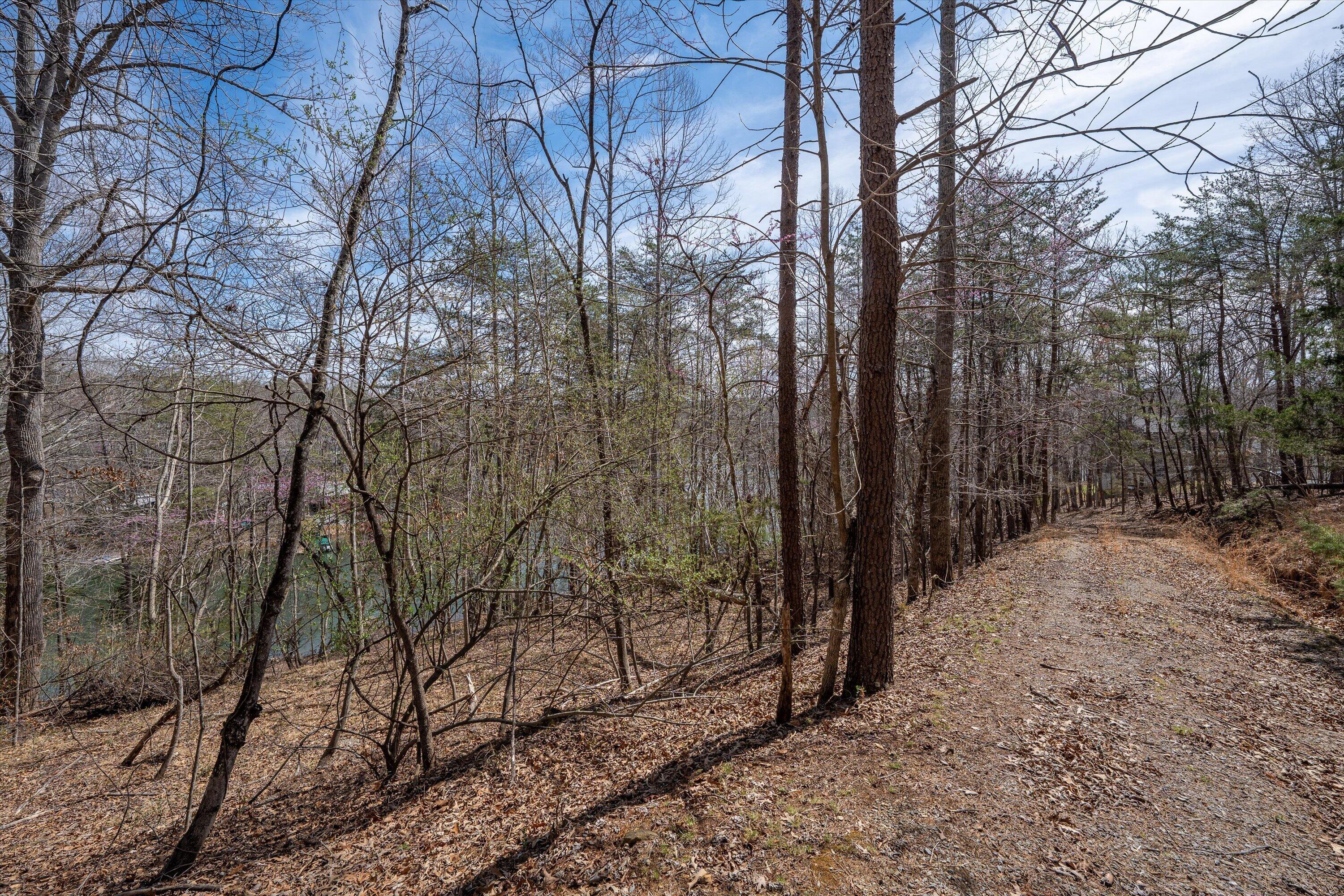 Tbd Tbd Judy Lane Moneta, VA 24121 - Photo 21 of 33 19-DSC (8)