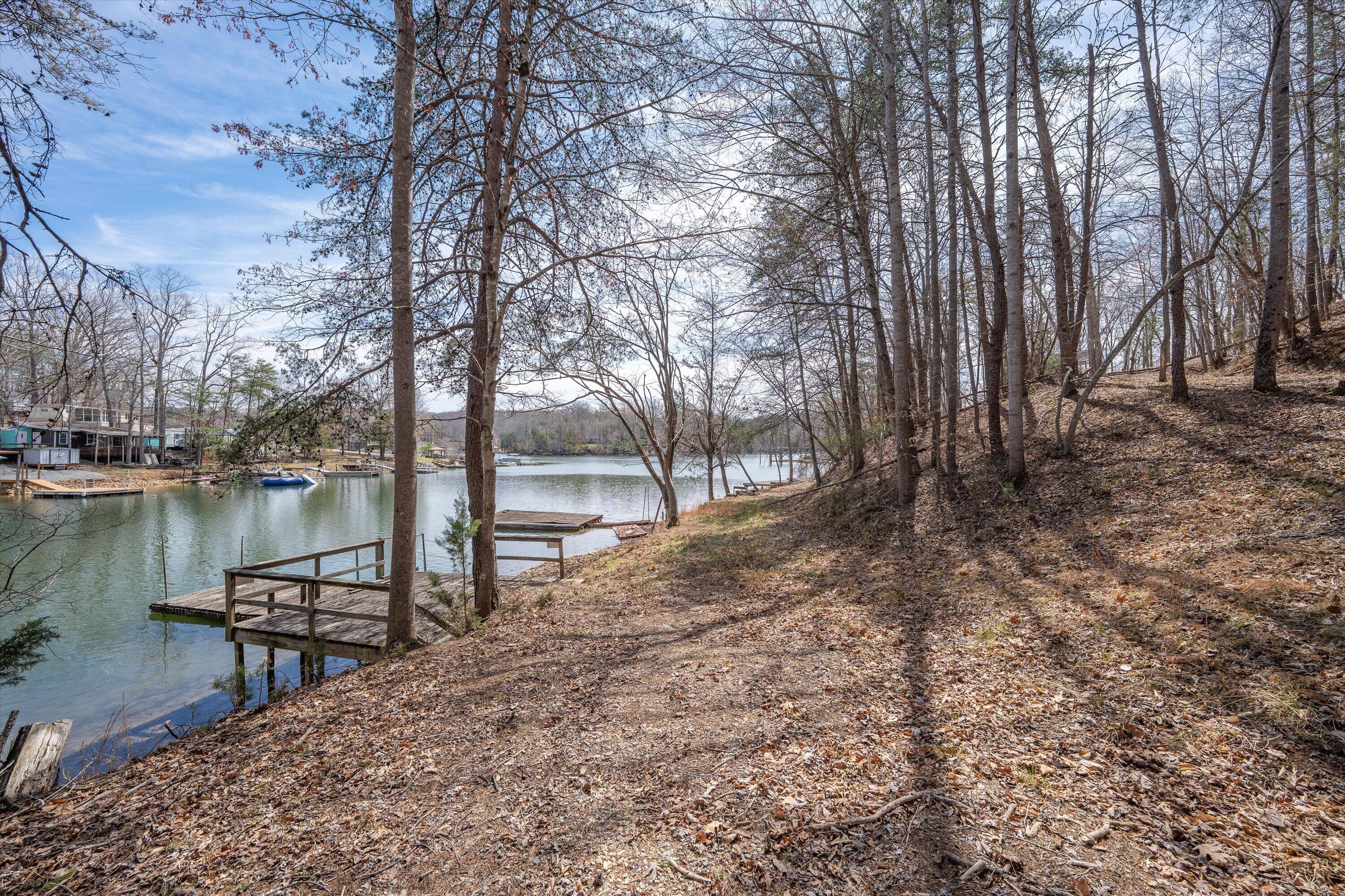 Tbd Tbd Judy Lane Moneta, VA 24121 - Photo 22 of 33 20-DSC (9)